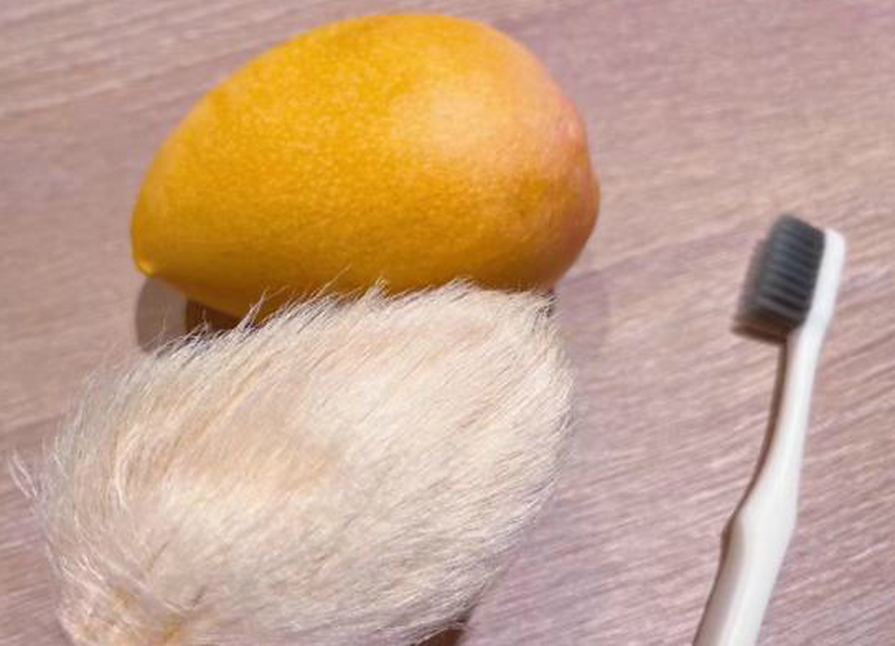 年轻人给芒果核梳毛被专家指不务正业,果核主人称:是一种精神寄托 上