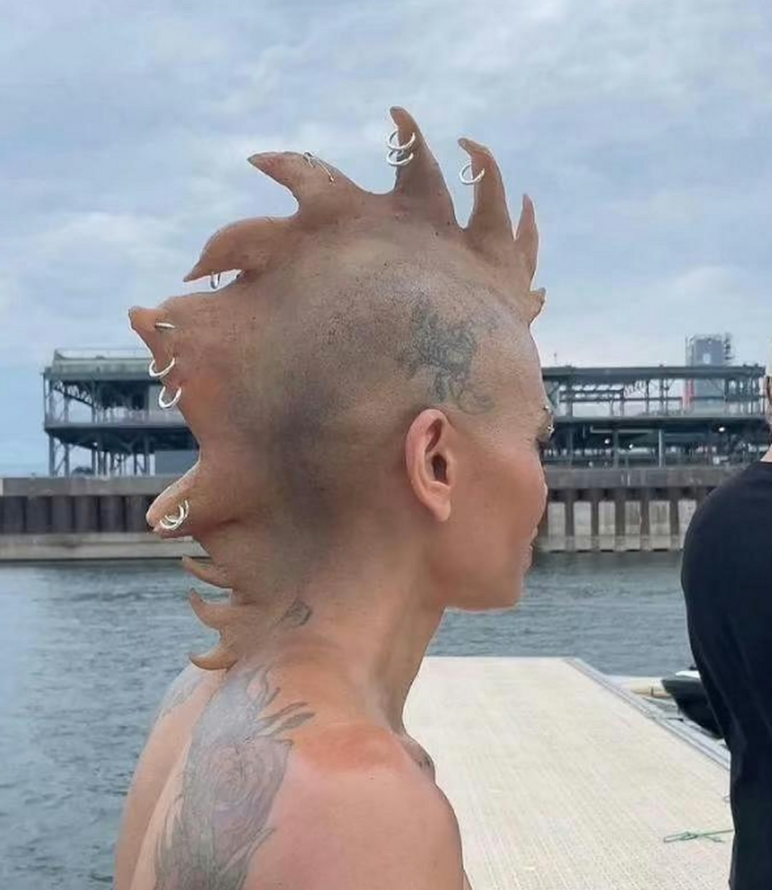 昴日星官是不是你兄弟?