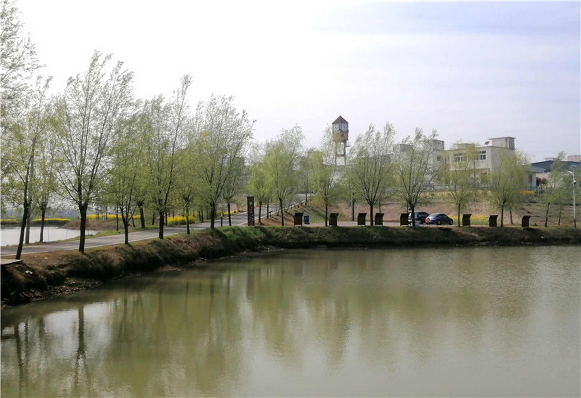 阜南沿淮村莊都高高在上.阜南西田坡莊臺,我昨天走了一趟.