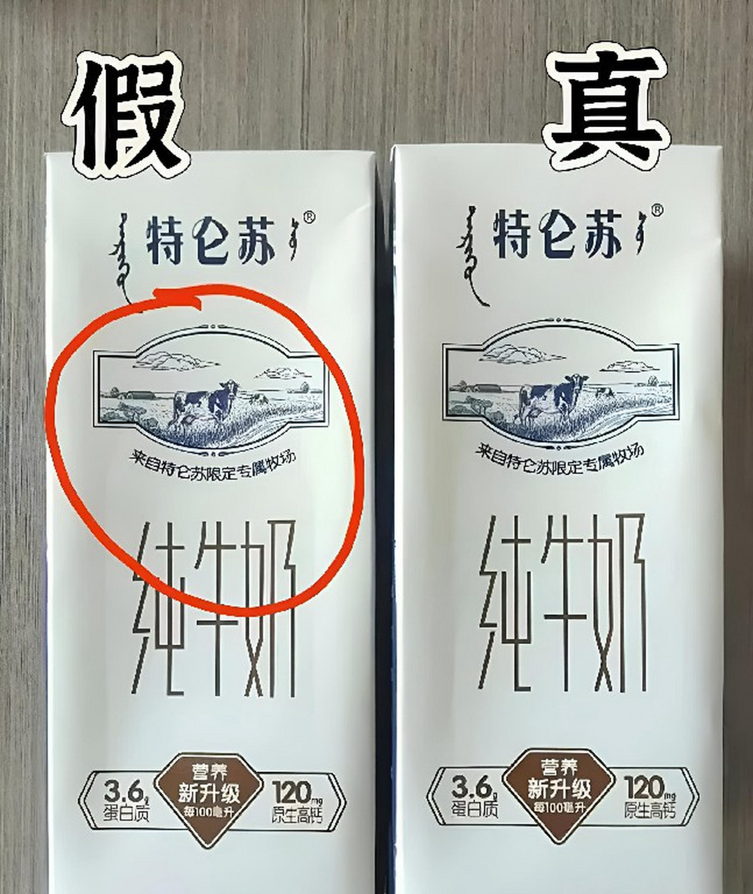 我分不清特仑苏纯牛奶是正品还是假货