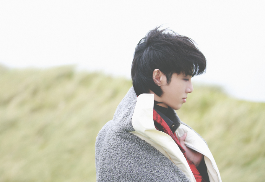 华晨宇《烟火里的尘埃》的作词是林夕,作曲是西楼.