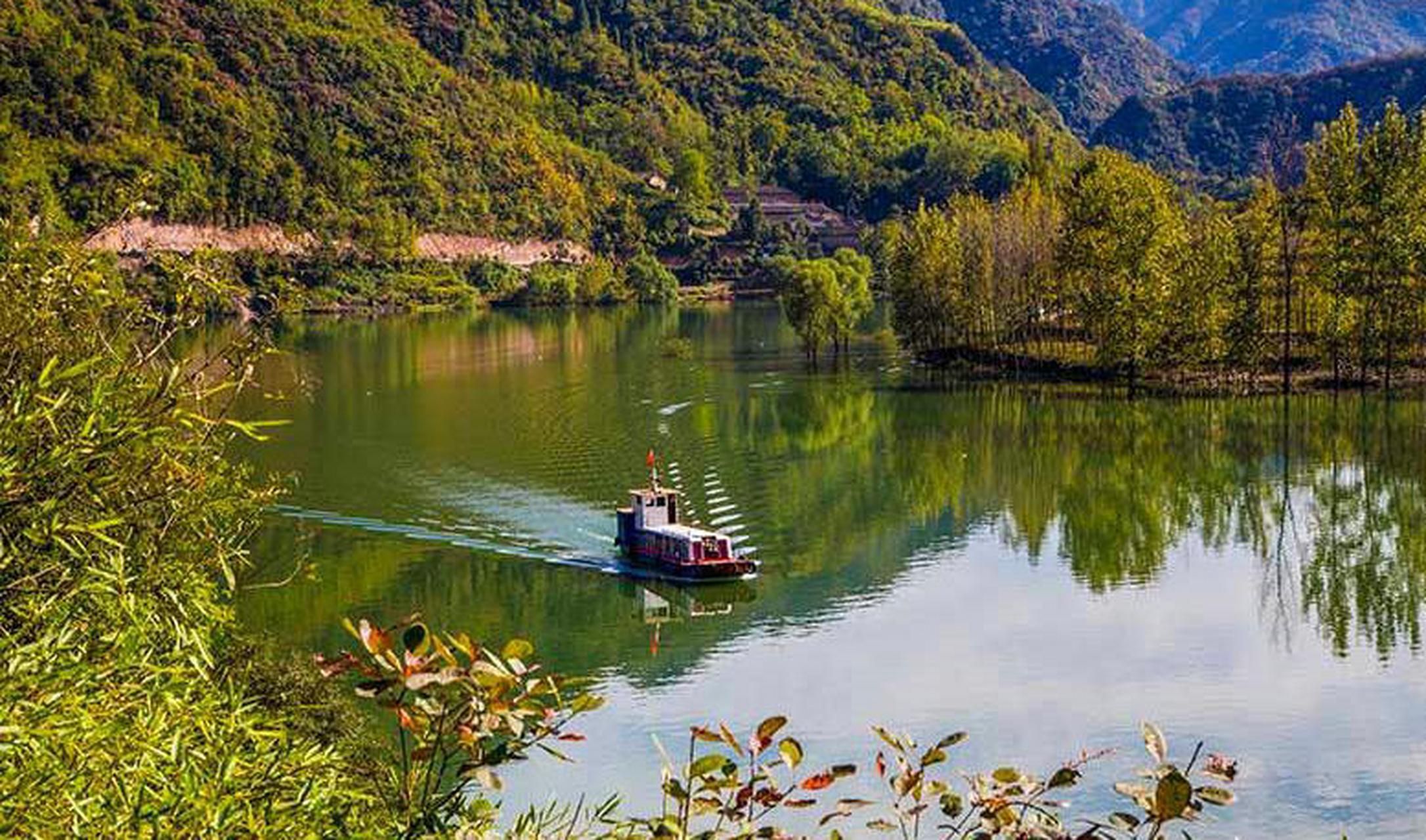 湖北省襄阳市谷城县,游船行驶在黄叶掩映的南河上,宛如画中游.