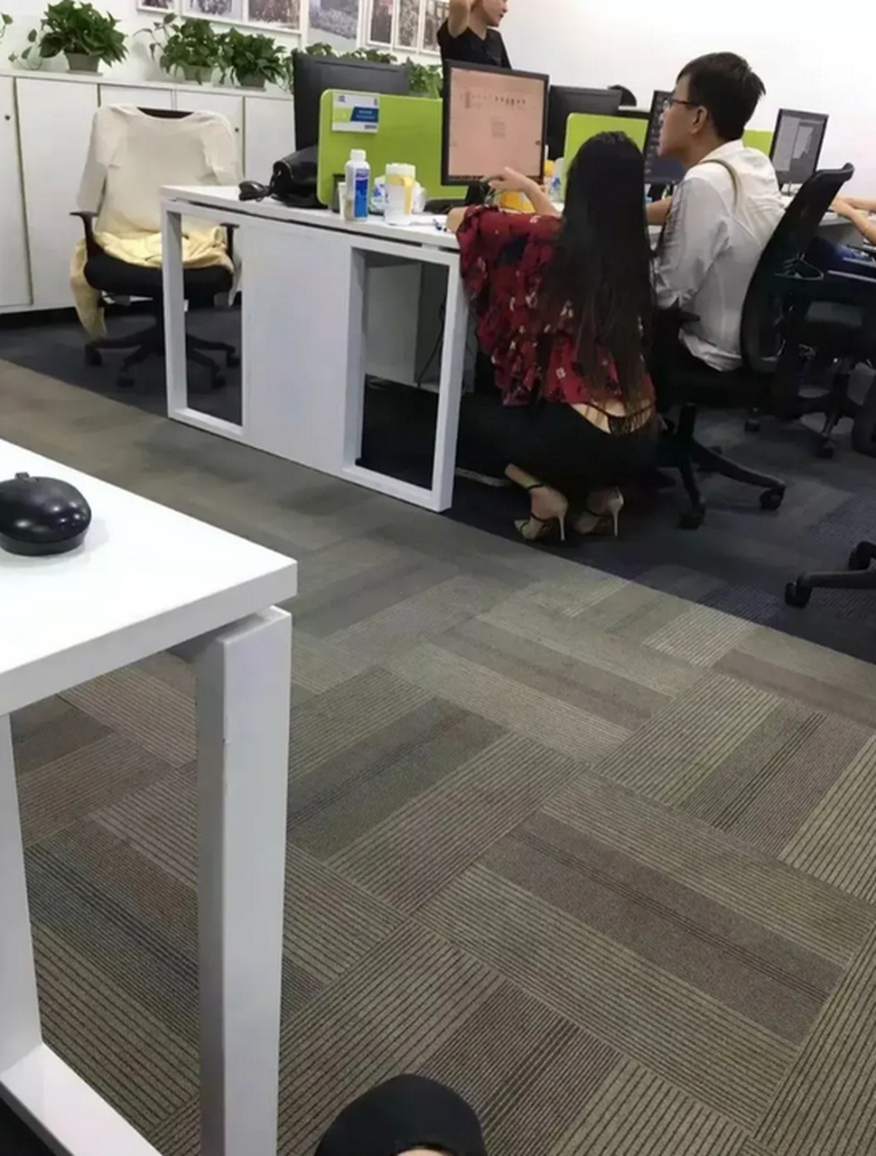 下图为办公室的平时工作一幕 这个女同事和男同事,正在商讨工作事宜.