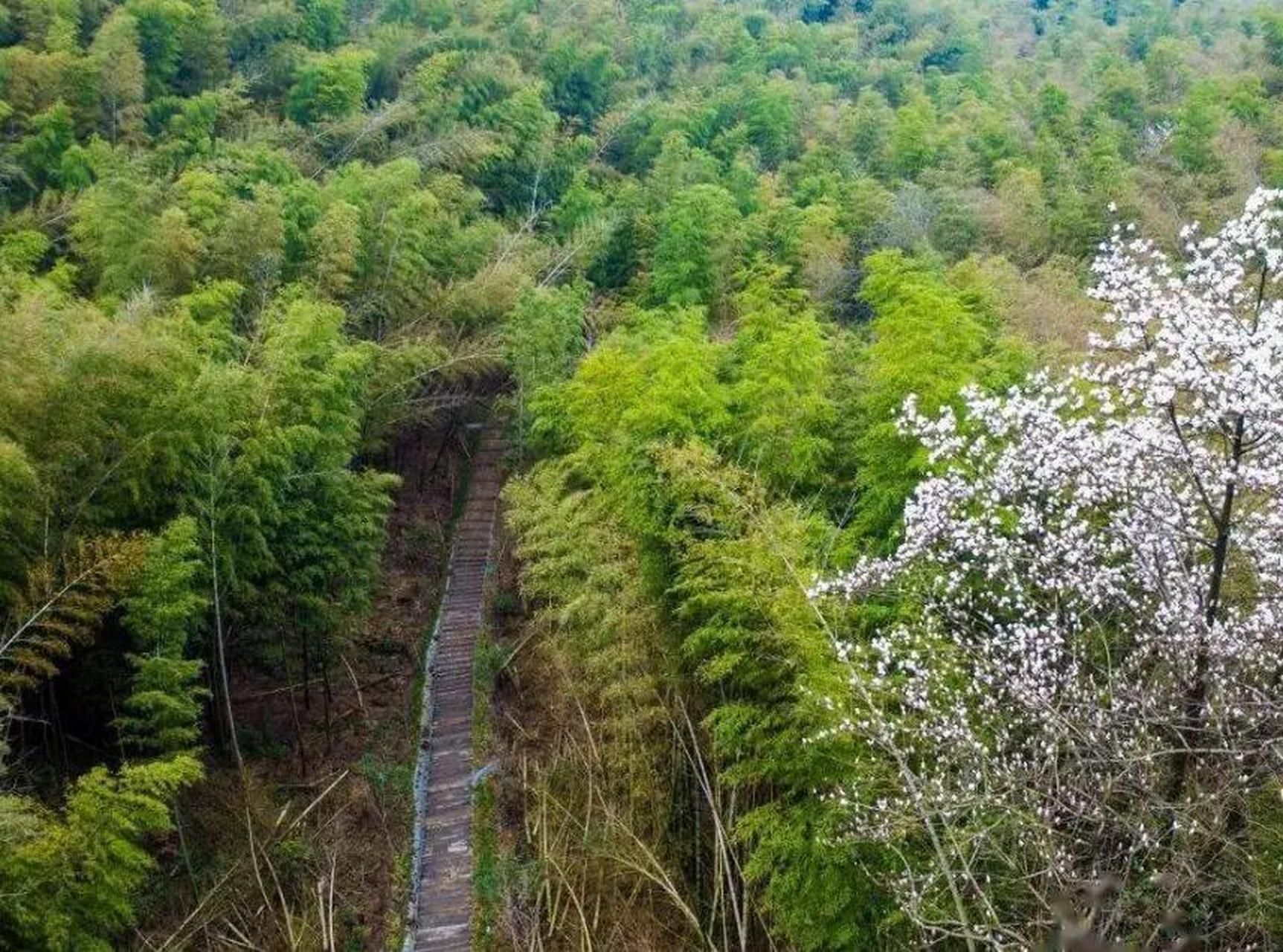 萧山楼塔境内的百药山是当地的名山,百药山游步道起点位于楼塔镇岩上