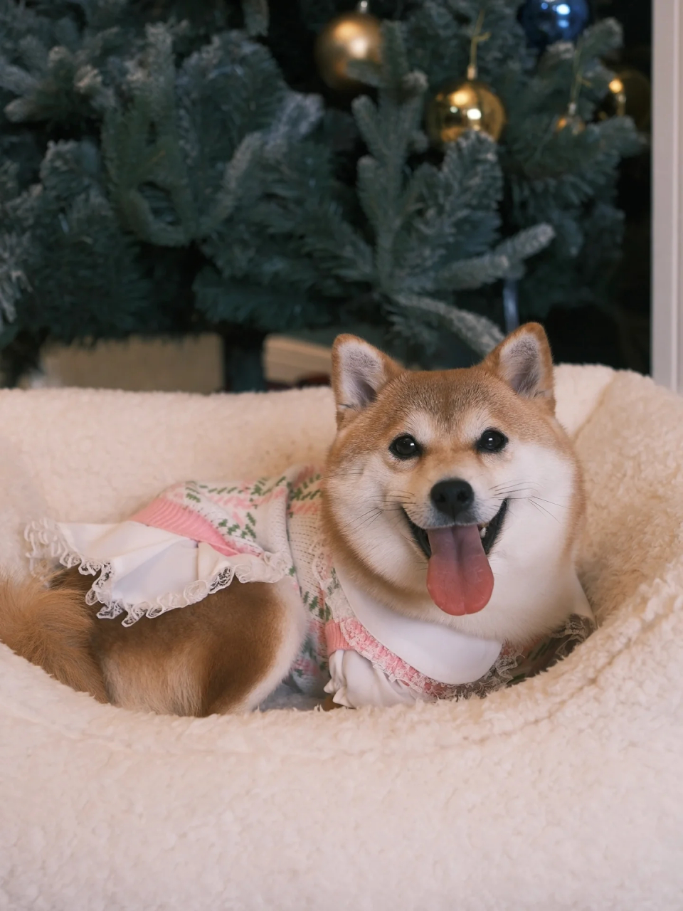 之处  天冷了给我家玩偶添衣衣啦94 恢复颜值的timi也太美了吧