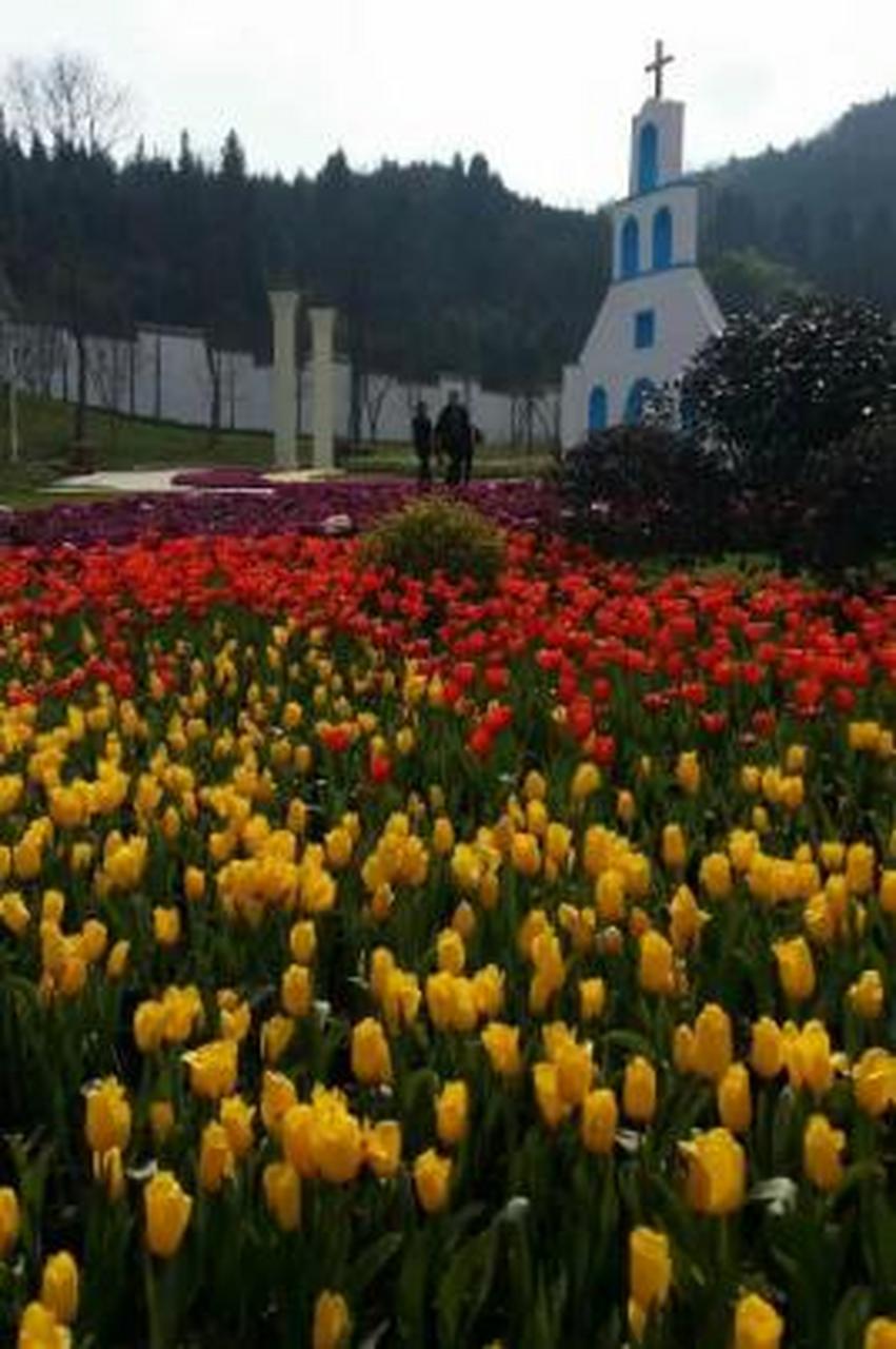 碧瑶湾旅游景区位于四川省达州市渠县万寿乡,占地面积6平方公里