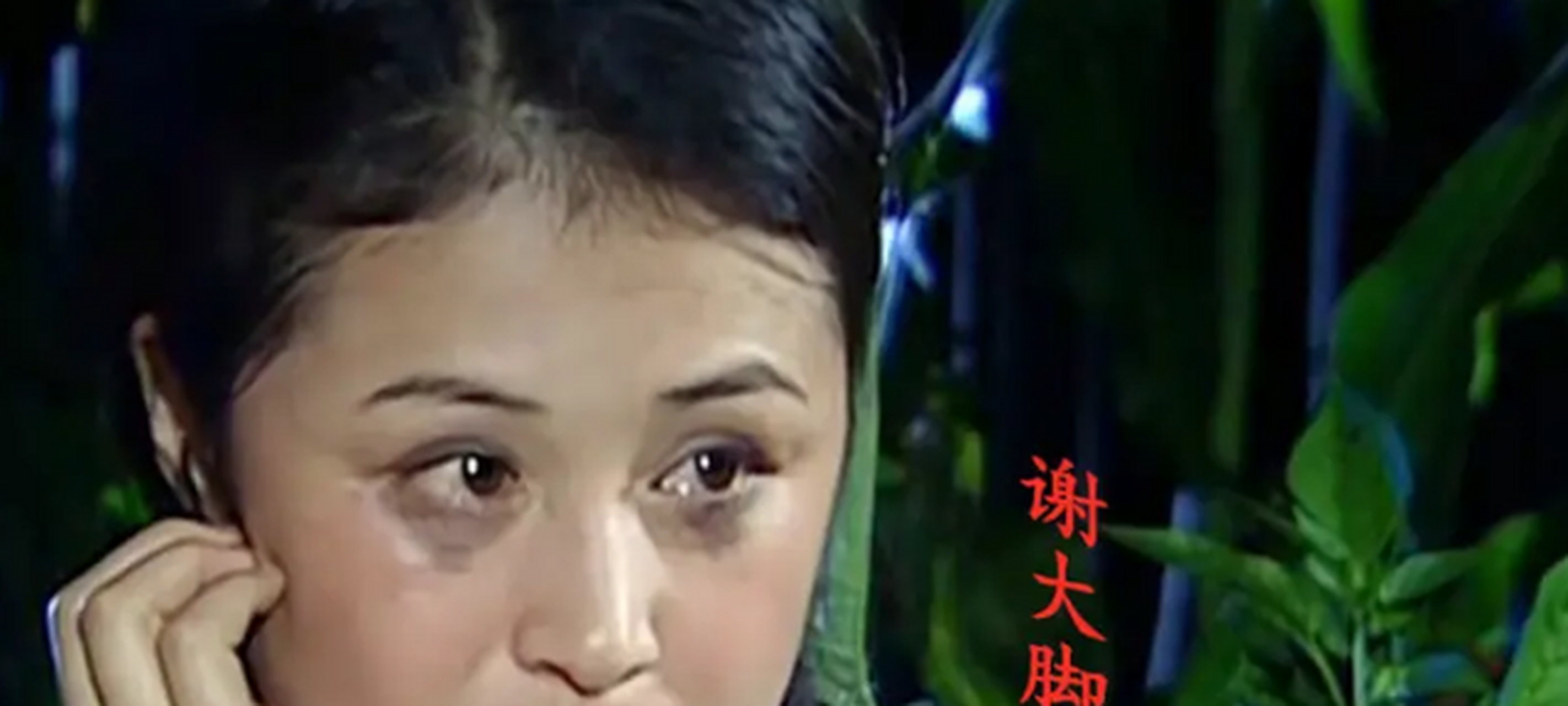 谢大脚演过《西游记后传》里的陈五真.