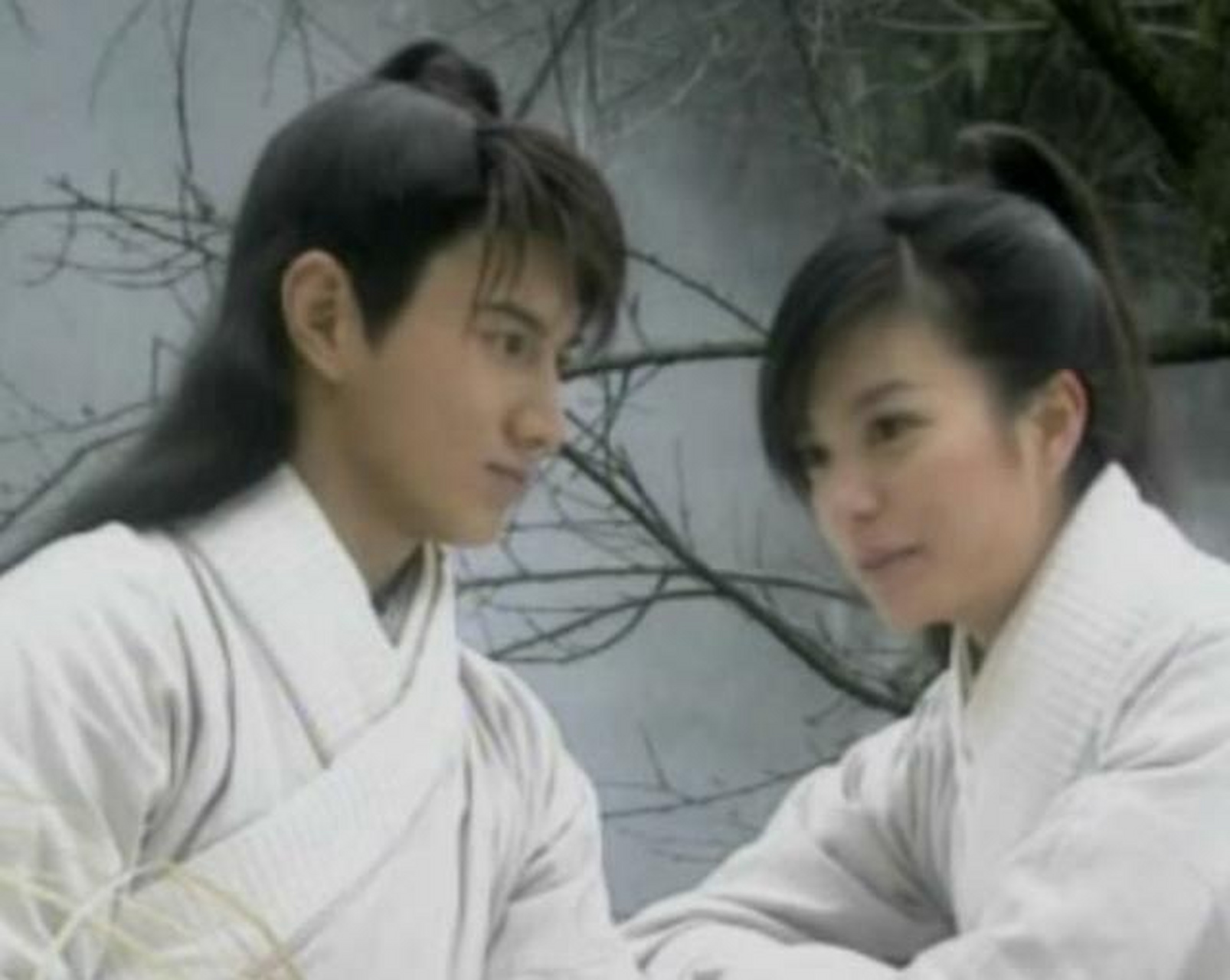 剧中赵薇出演女主陆剑萍,吴奇隆出演男主水若寒.