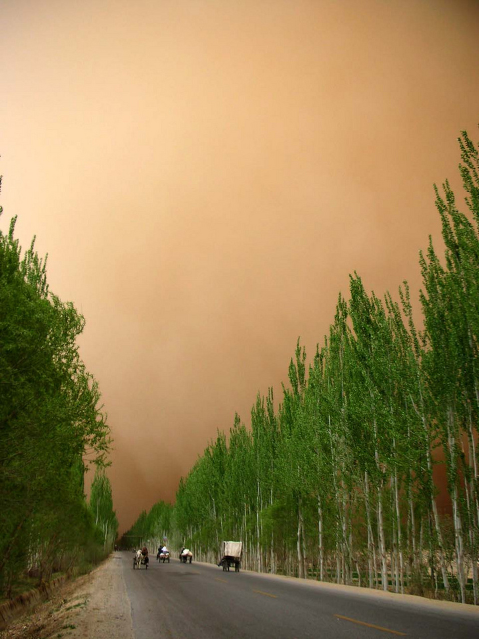 沙尘暴来了#我国的沙尘暴源区是有一些变化的.