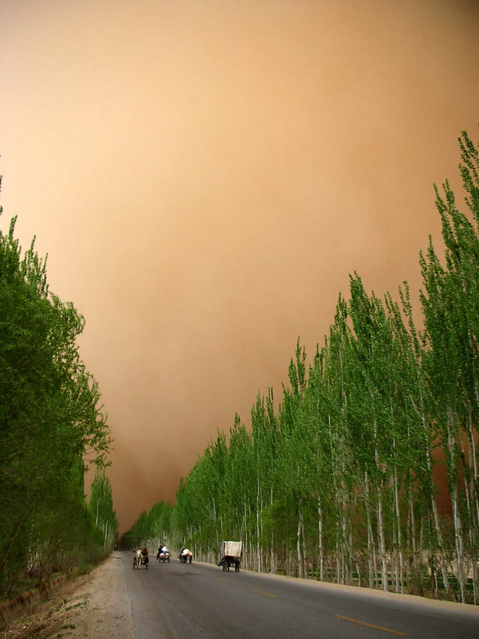 沙尘暴来了#沙尘暴防御指南: 1,做好防风防沙准备,及时关闭门窗; 2