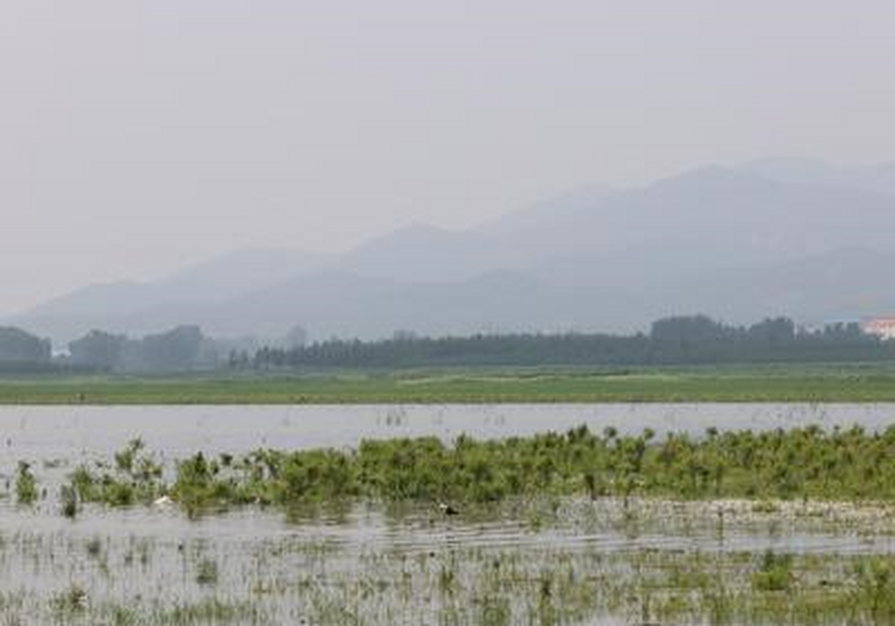 天马湖,现在叫洋河水库,是秦皇岛抚宁区的一座大型水库