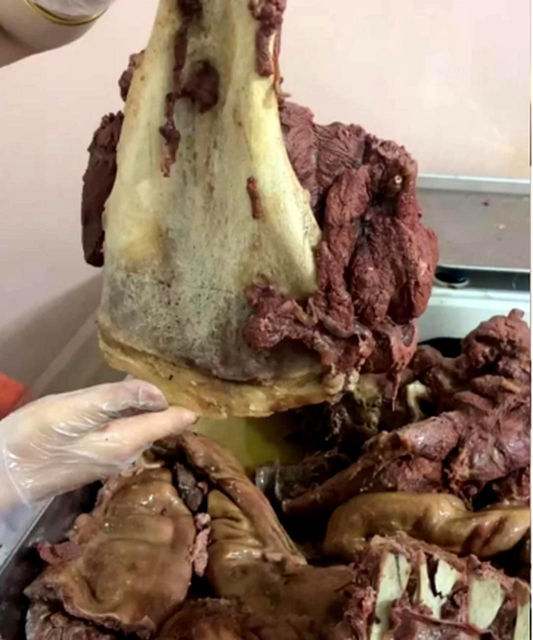 请问你知道这驴肉一斤要多少钱吗?