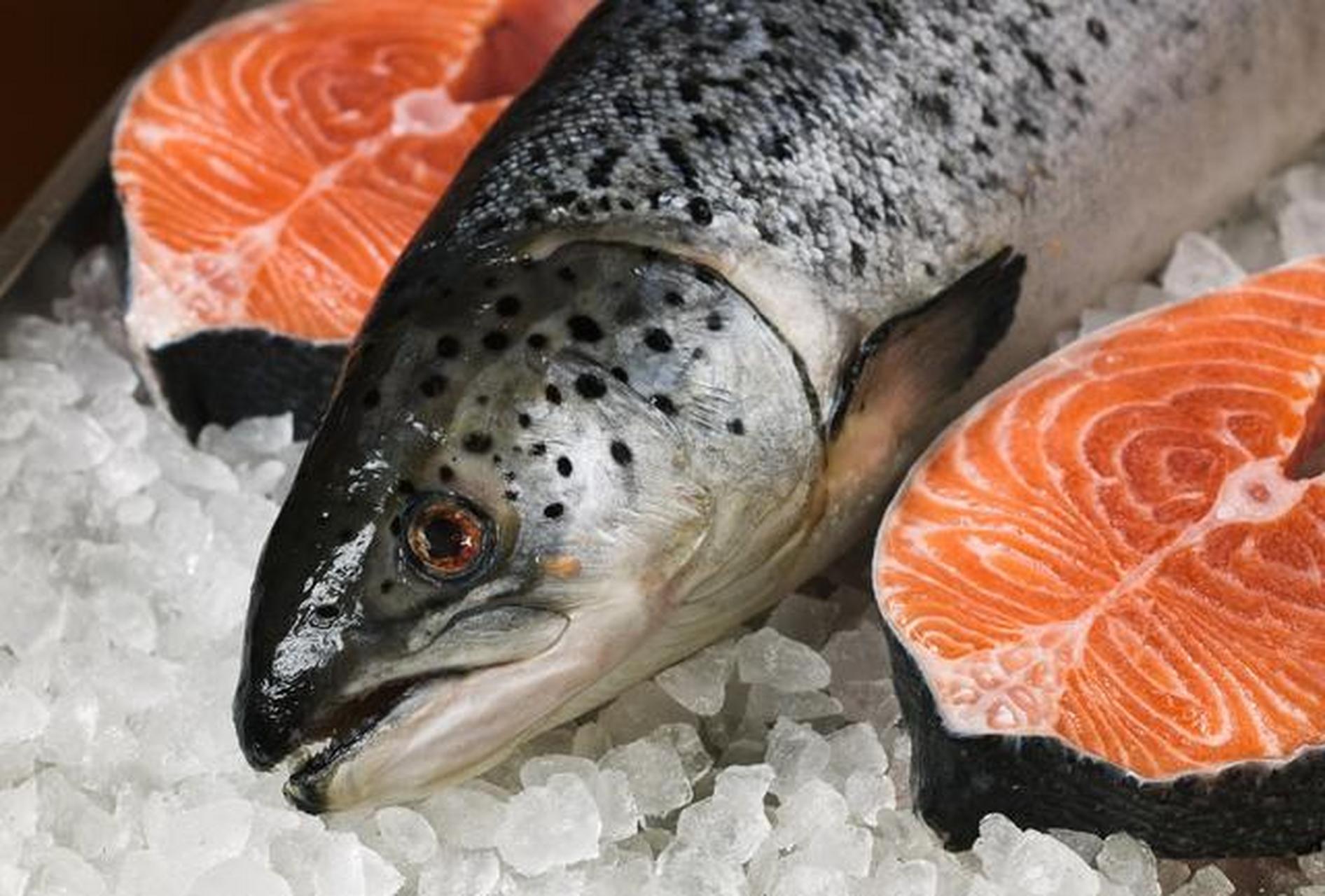 日本"水俣病"曾震惊世界,源头竟然只是因为重金属污染?