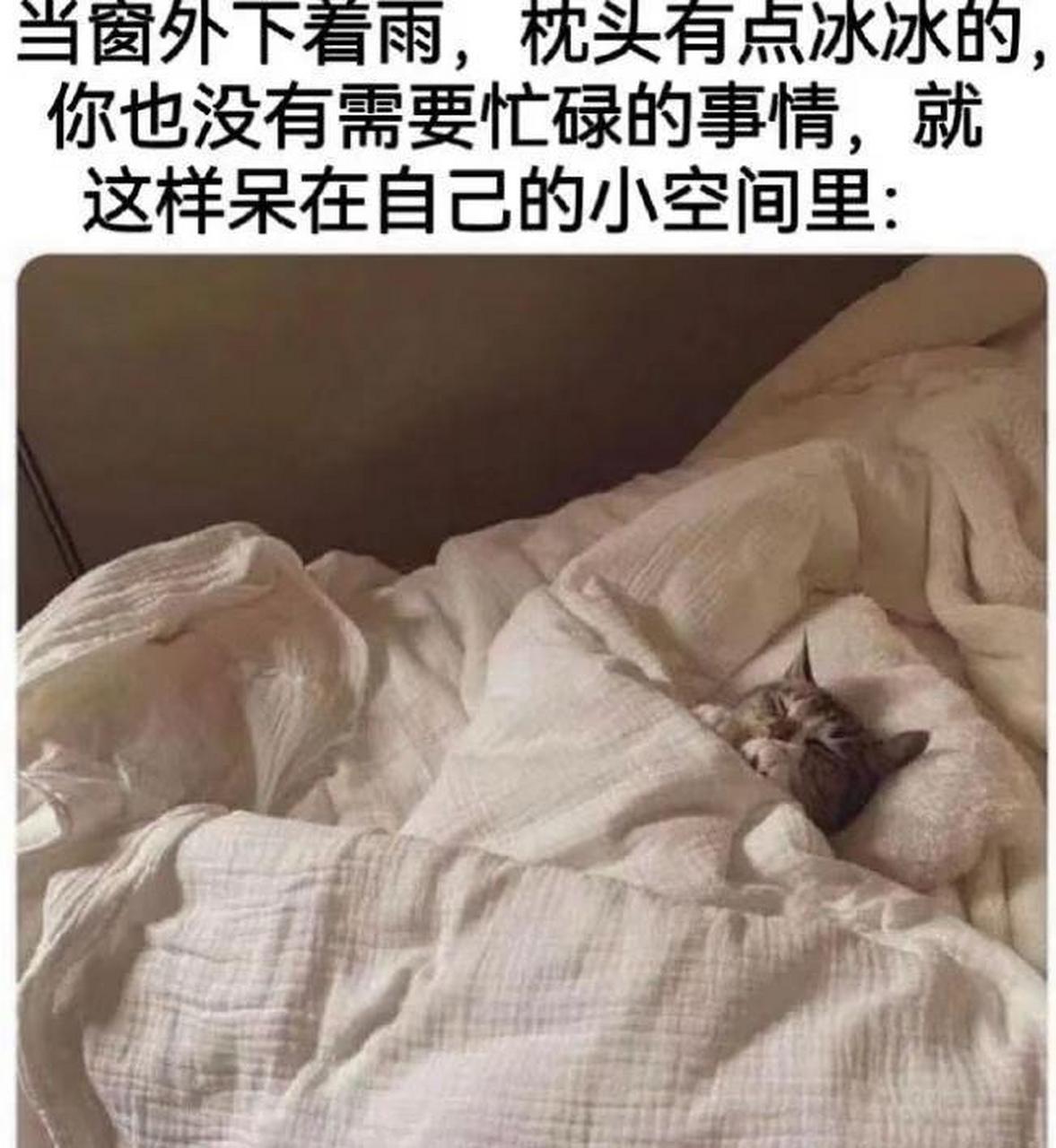 盖好几层被子图片搞笑图片