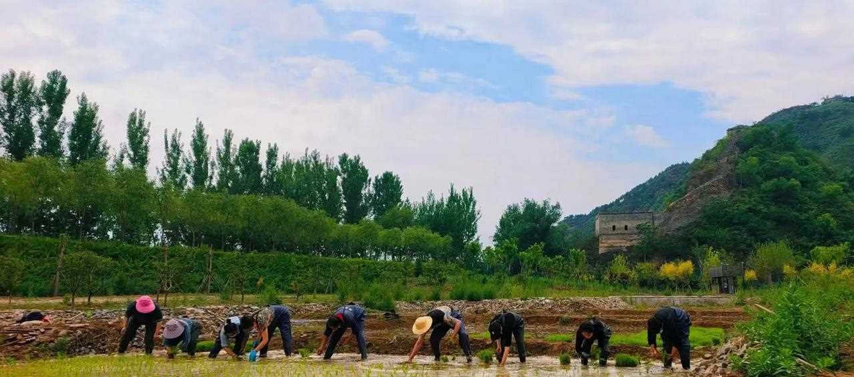 长城脚下饮马川图片