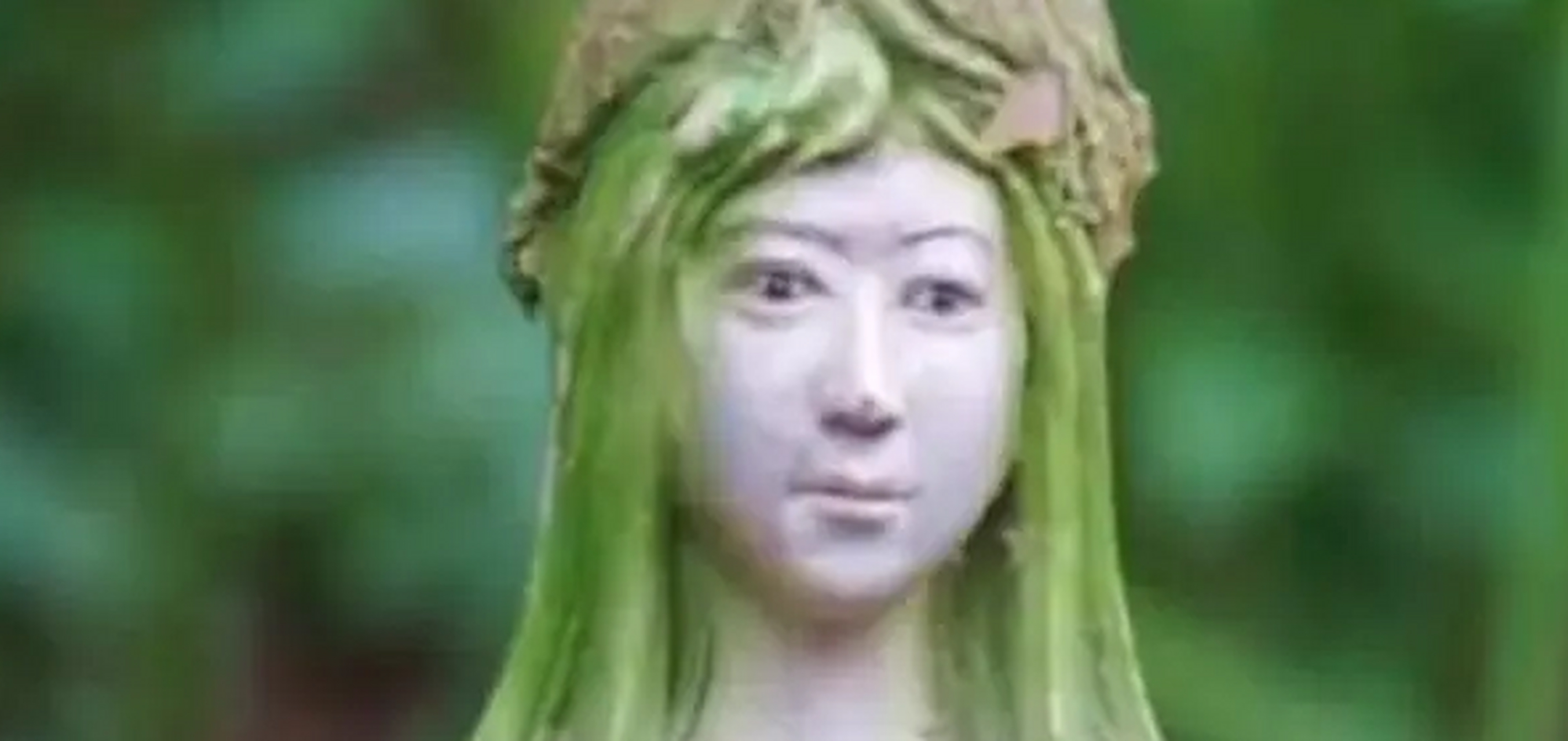 这棵女人树是在泰国曼谷500公里外的森林公园中,据说这棵女人树十分