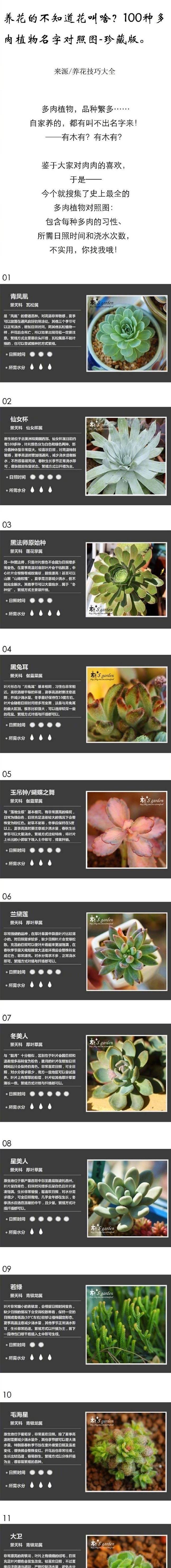 多肉植物名称(多肉植物名称图鉴大全)