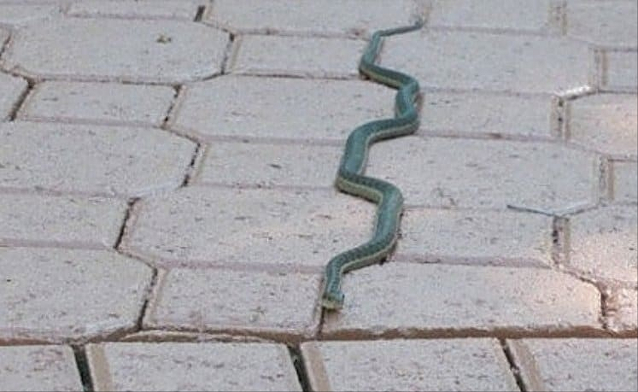 在两栋楼房建筑之间设立的透明游泳池,电影《机械师2》里的某个镜头