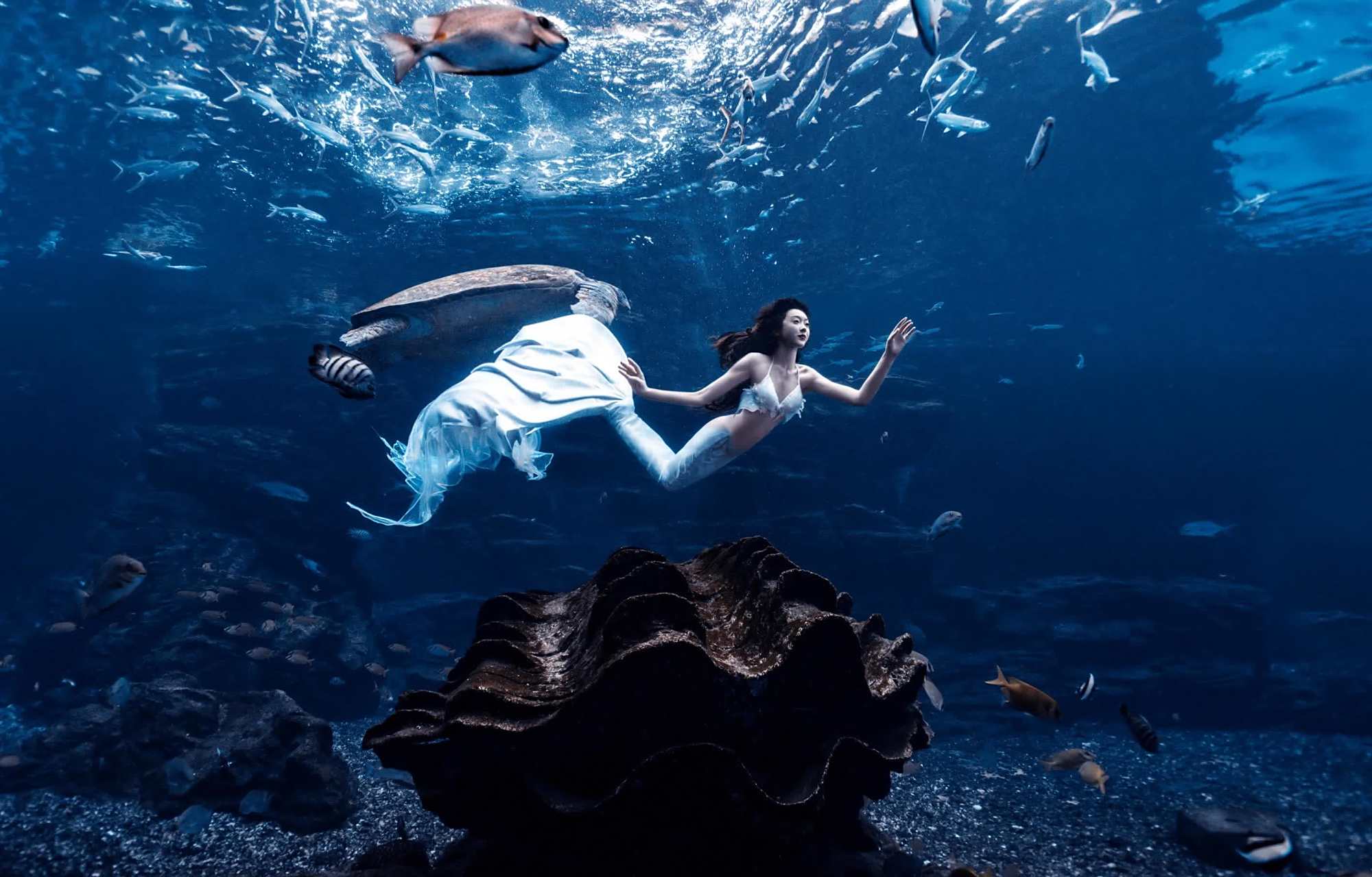 宣璐拍到了一群水下美人鱼,姿态优美,场景十分