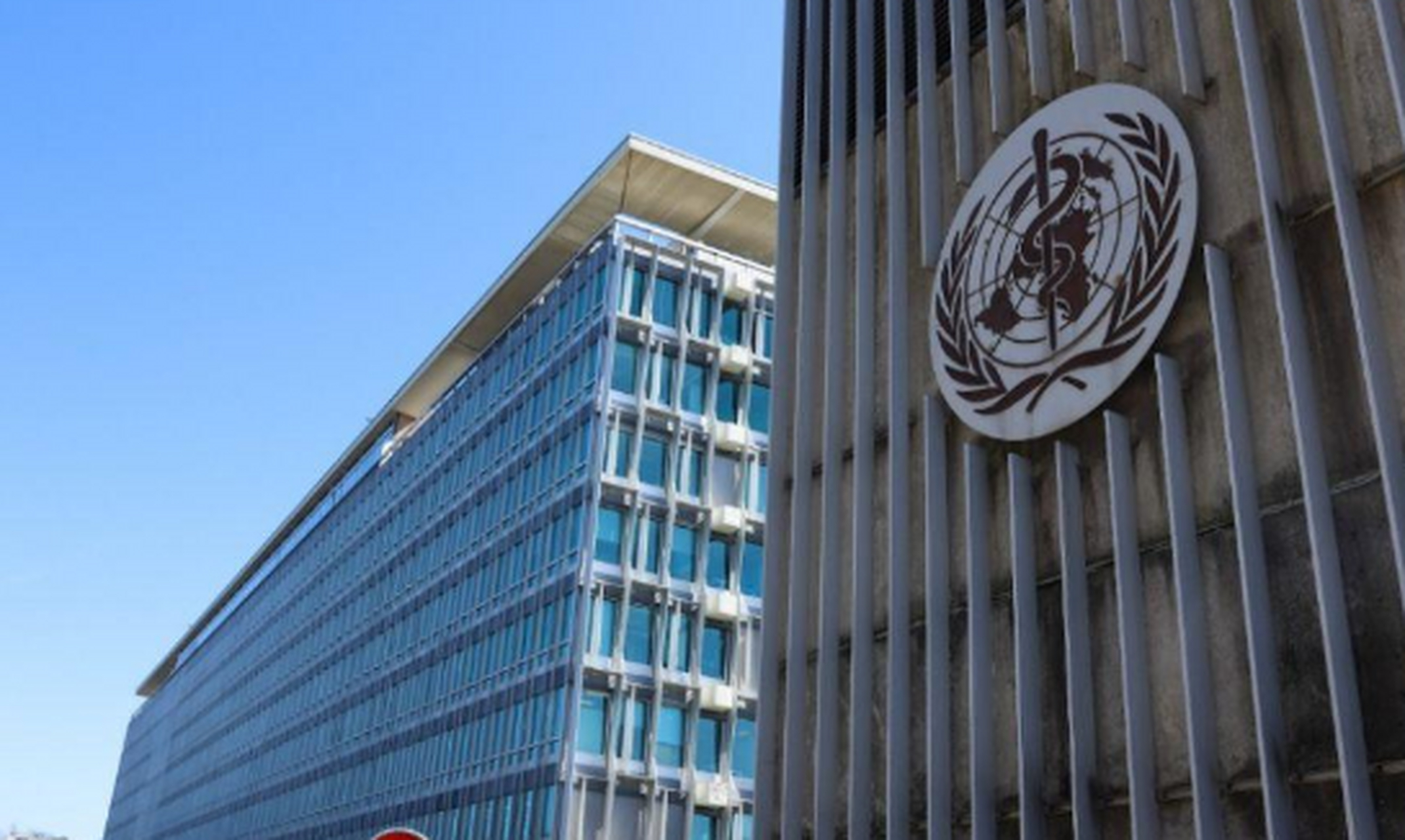 曾赴华溯源的世卫专家,已遭who解雇,并被禁止在联