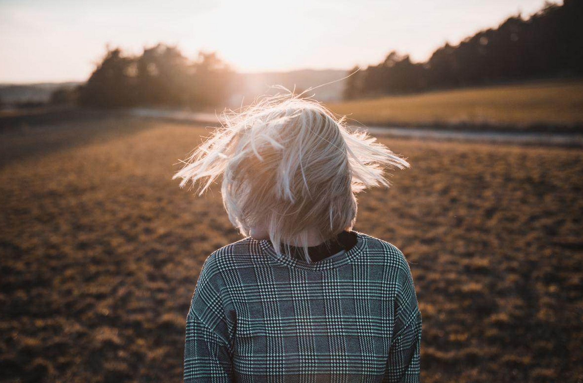 粉丝来信: 你好!凯紫.
