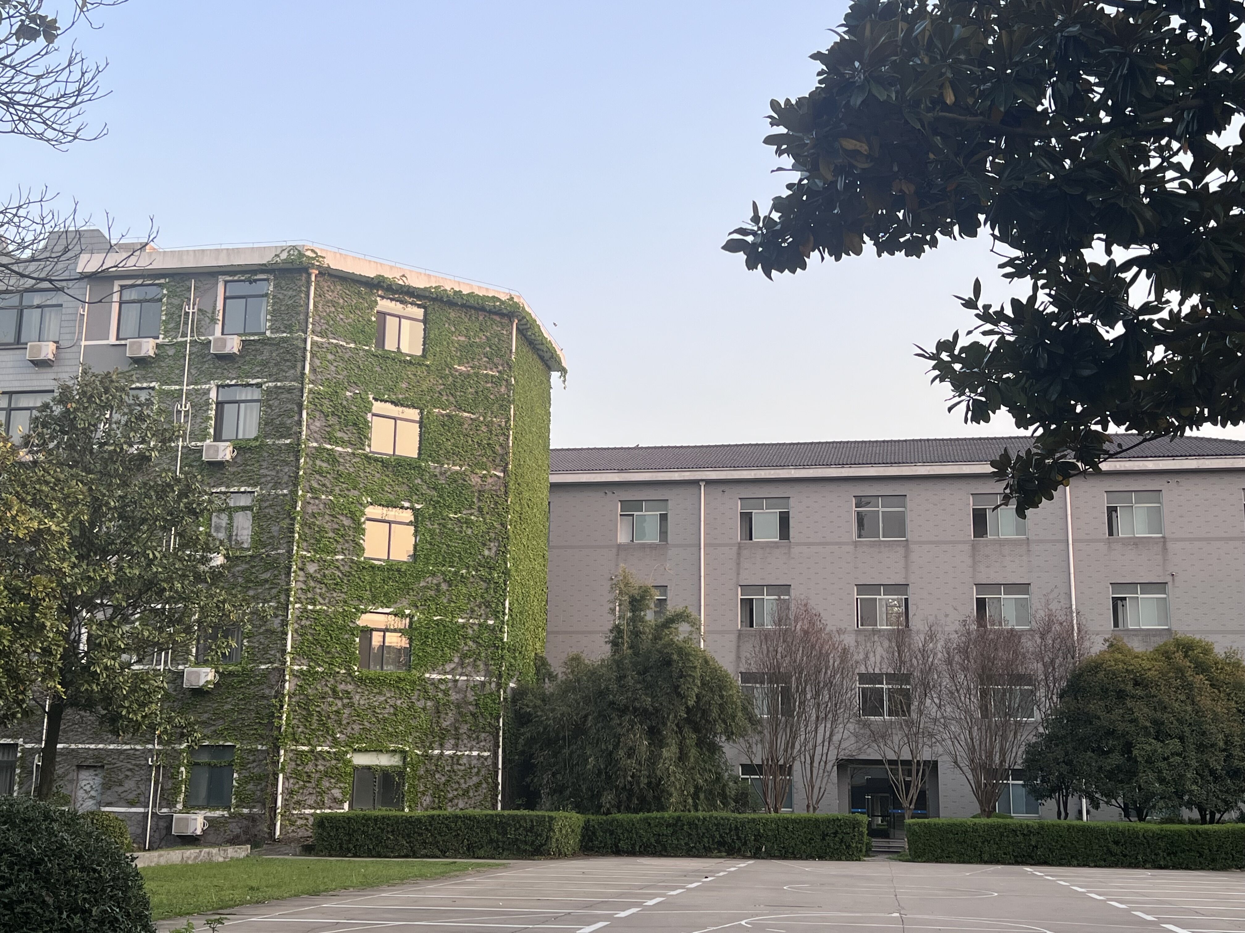 每年同一时间同一比赛,不同的是参赛的同学们