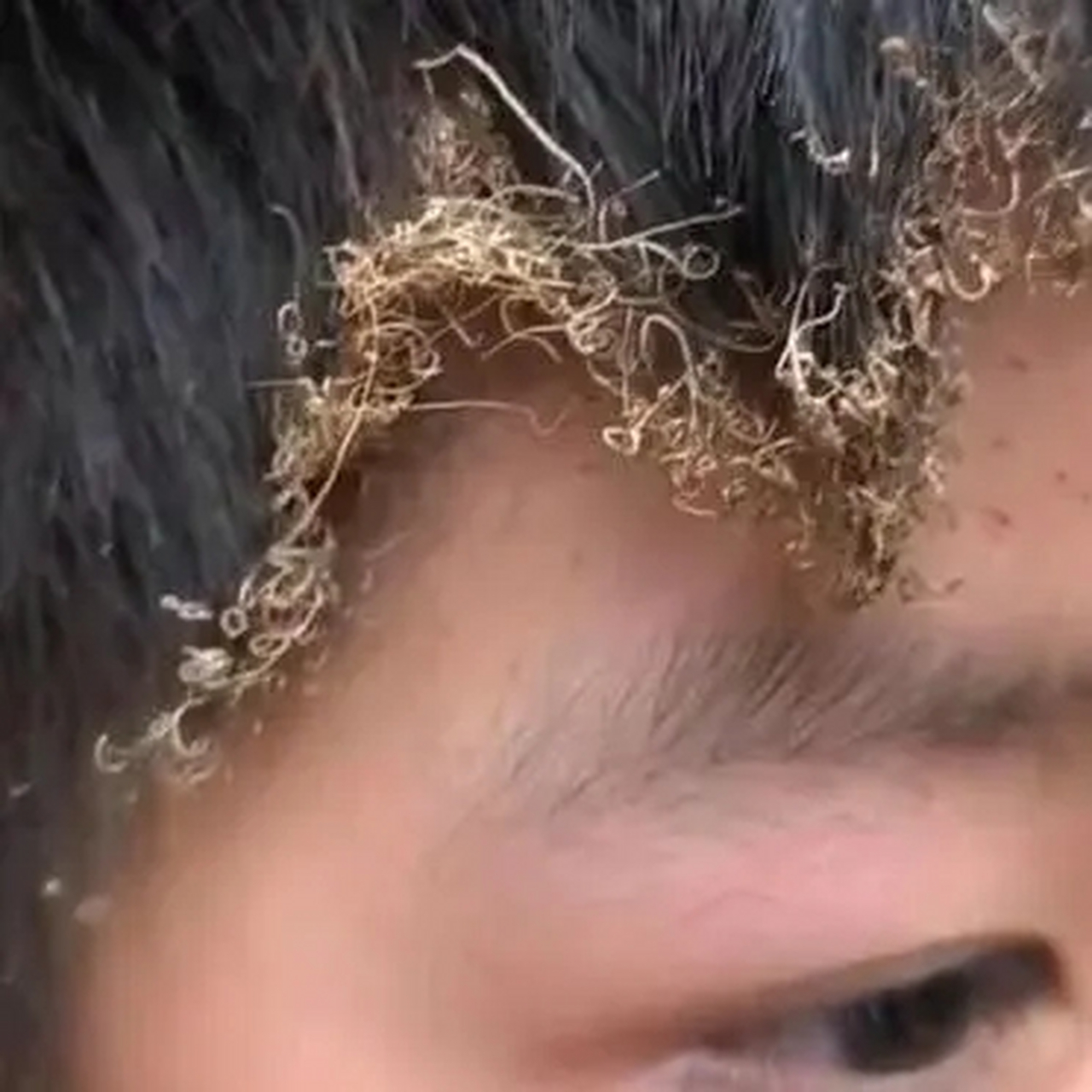 一股烧焦的香味扑面而来