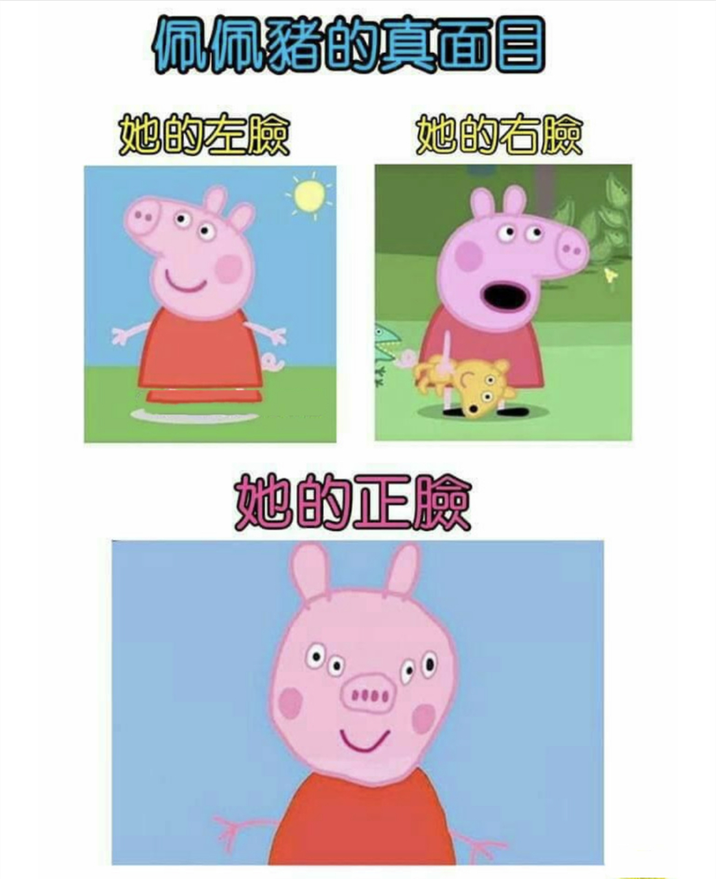 小猪佩奇,可能有人早就发现了,为什么明明是侧脸的佩琪却有两只眼睛呢