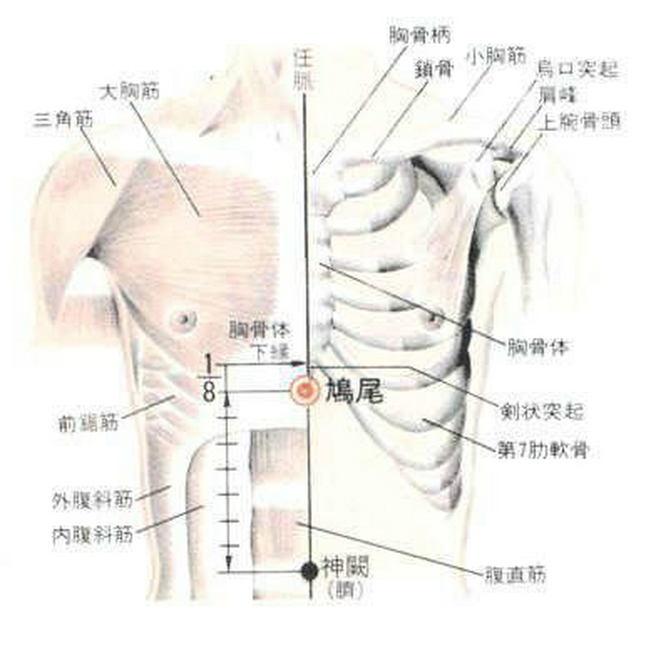 夏天預防腸胃不舒服,教你按摩這3個穴位.