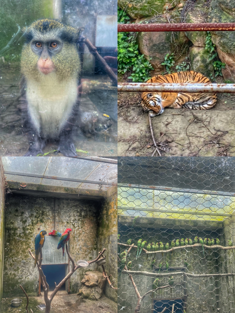 地址:隆昌川东生态动物园  路线:西南商贸城高速收费站-夏蓉高速-山川