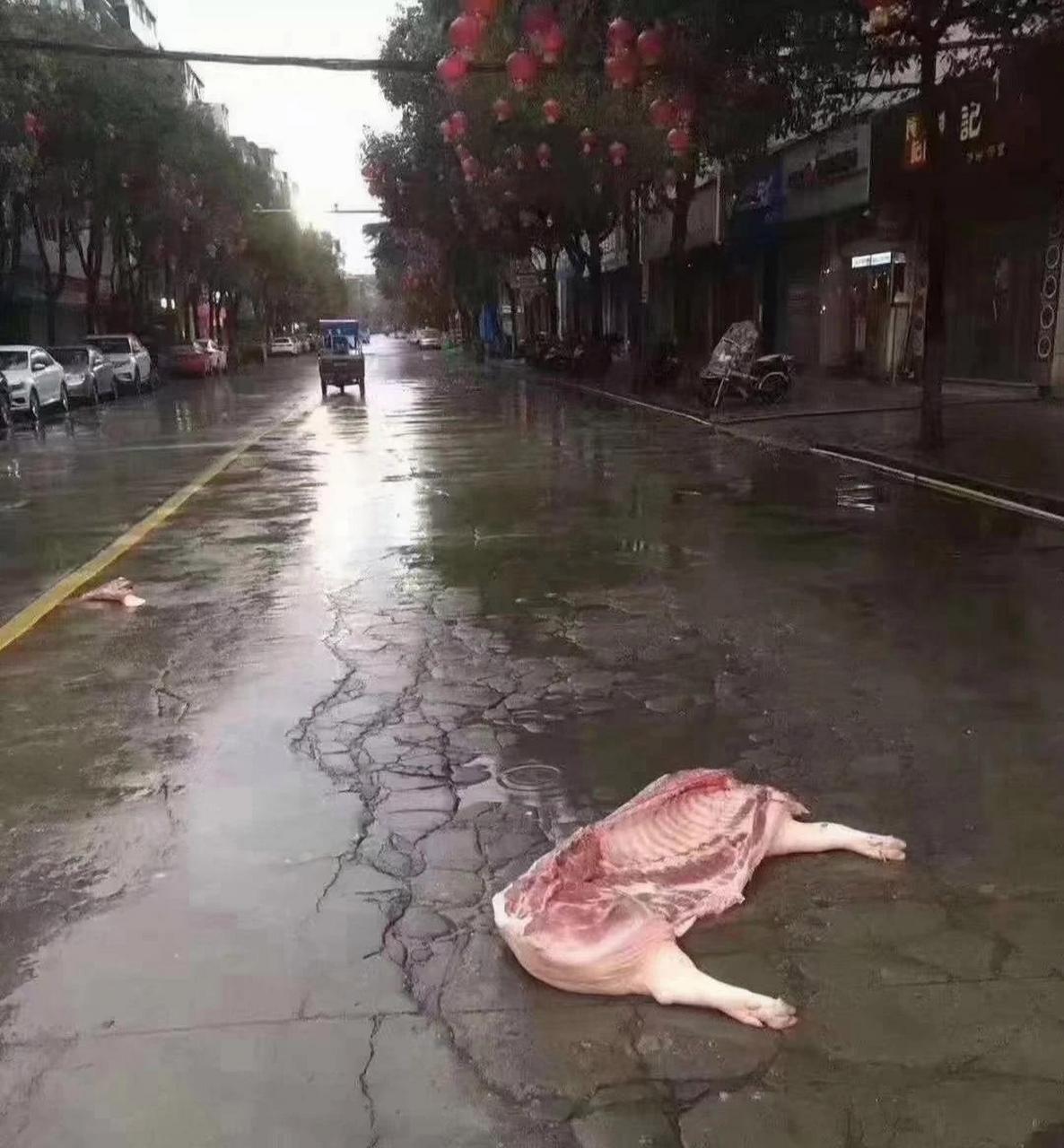 不知道为啥,今天又在路边捡到半扇猪,加餐了!
