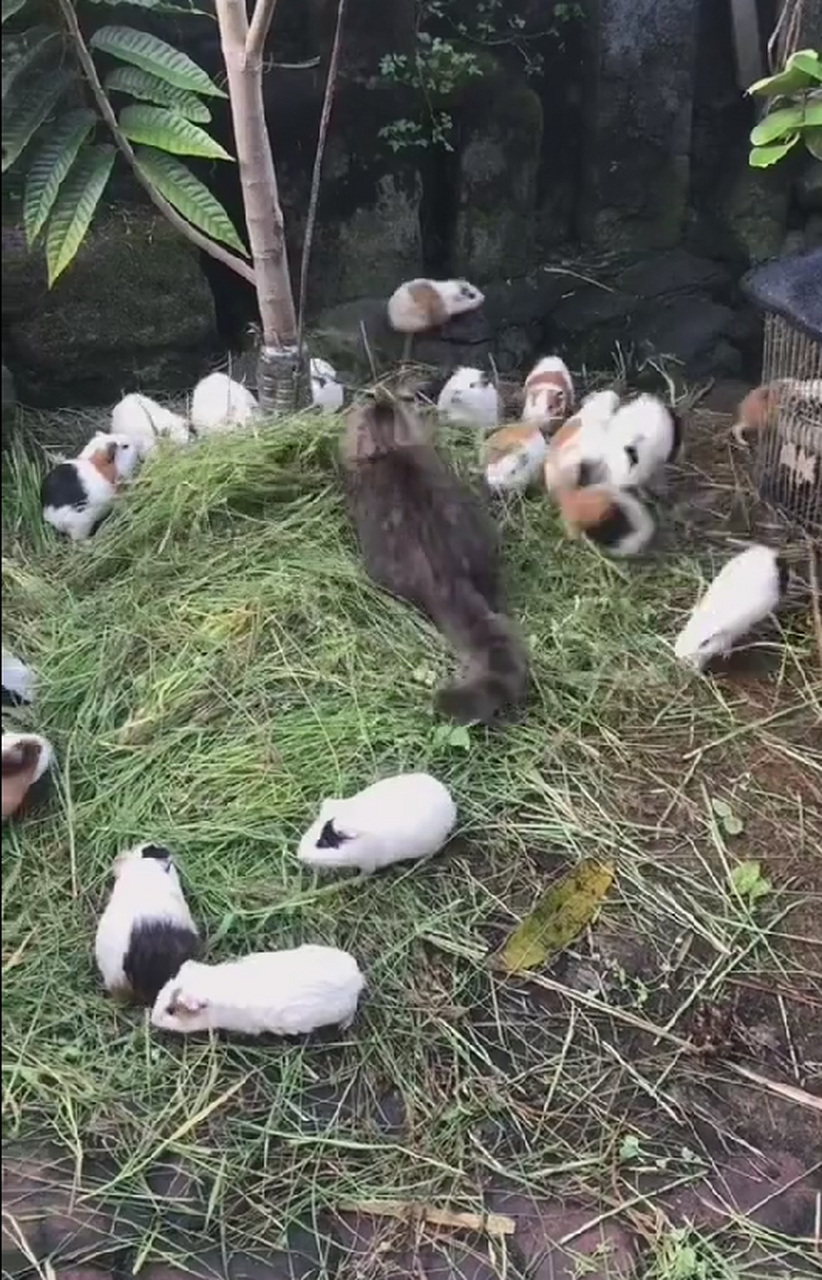 这个世界太疯狂