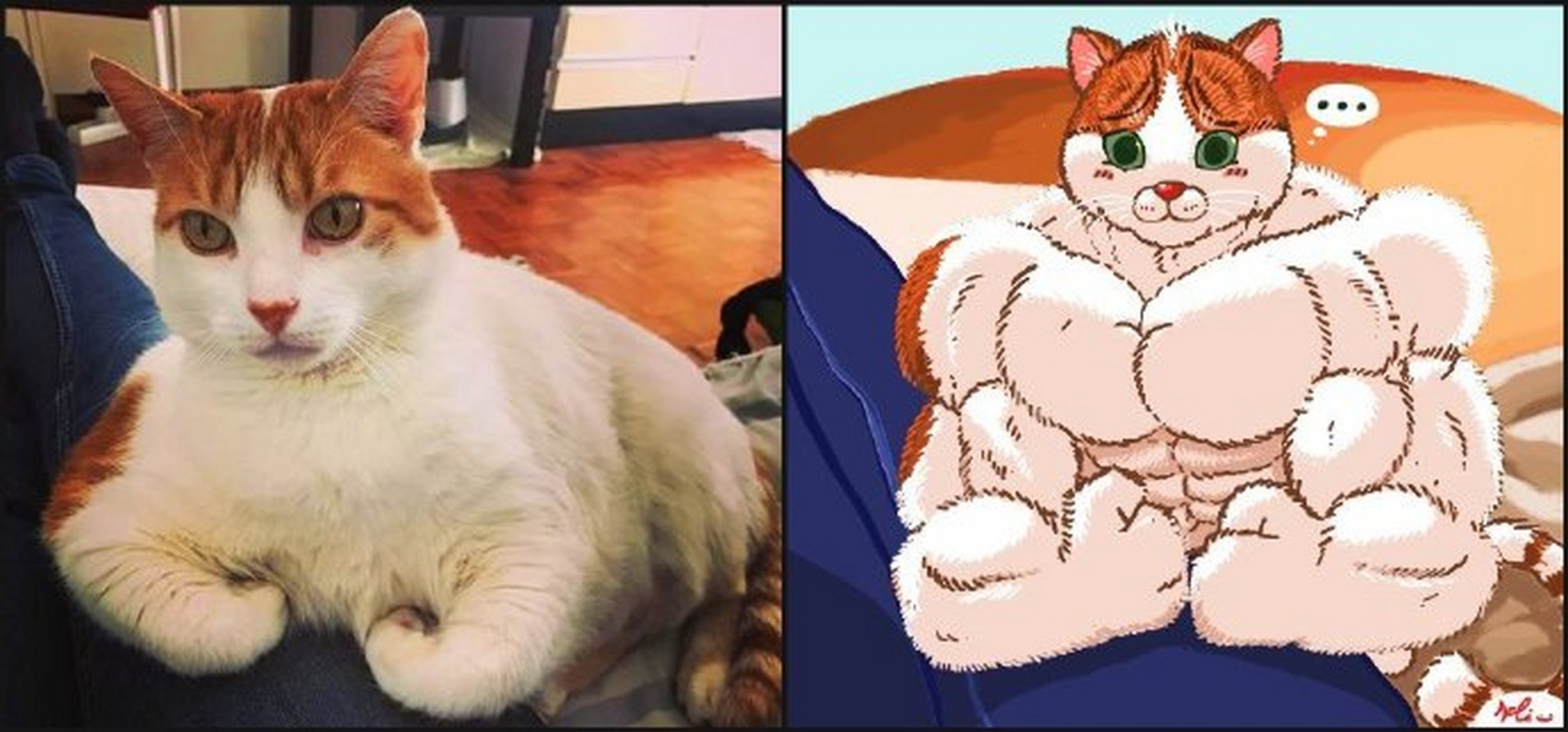海外动画师keke近期的新作,又沙雕又可爱,肌肉猫系列真的是百看不厌啊