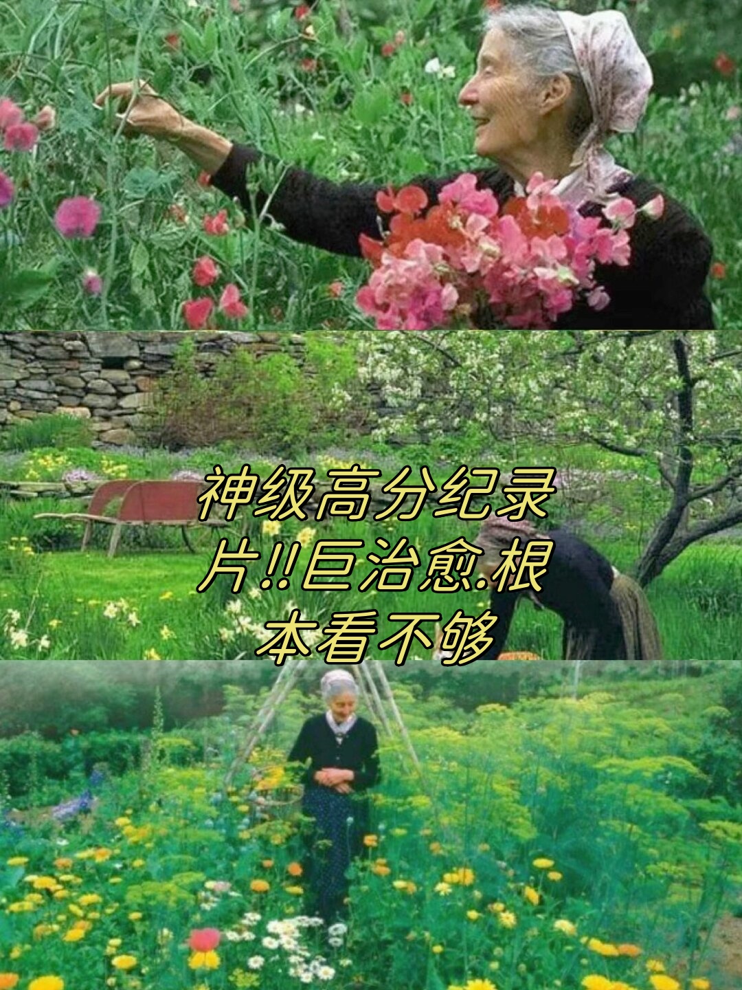 影片:《塔莎杜朵.一个人的田园生活》  评分:8