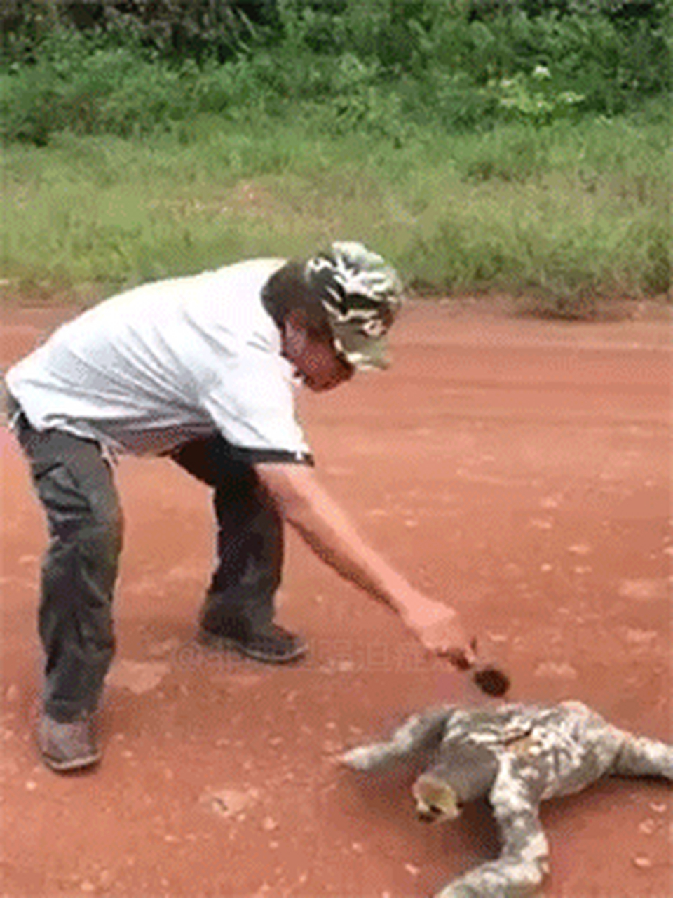 搞笑gif动图:看第一张,自从给狗狗带上尿不湿后