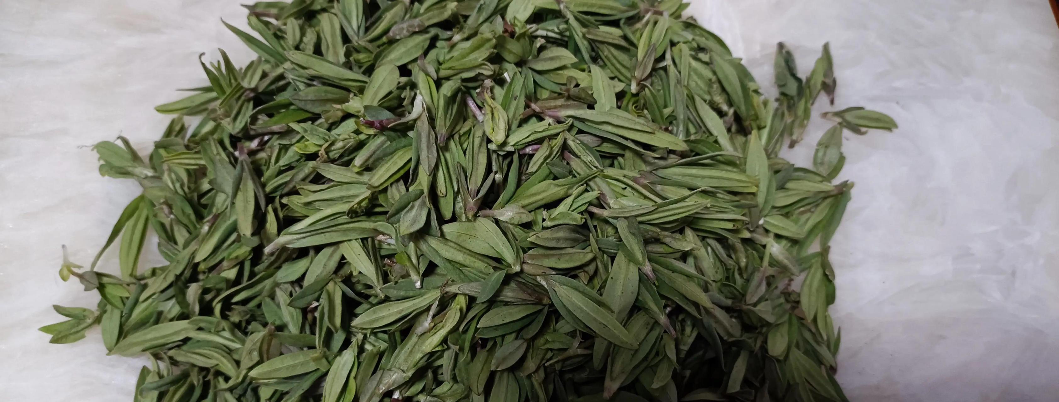 嫩嫩的,酷似鸭嘴状的山野菜,在初春的阳光里散发诱人的清香.