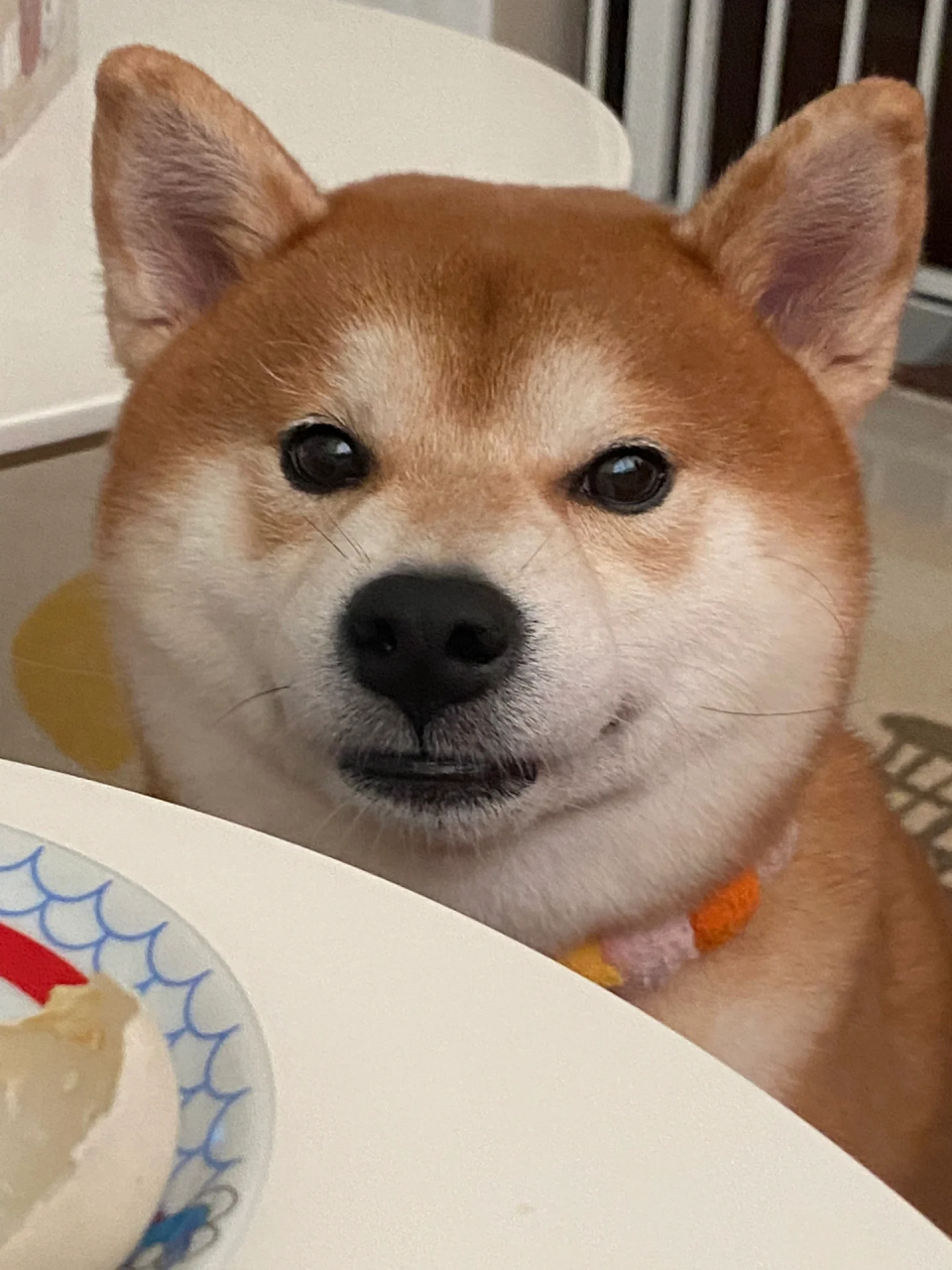 嘿嘿嘿嘿,坏笑~  不知道这小子表情在盘算什么呢