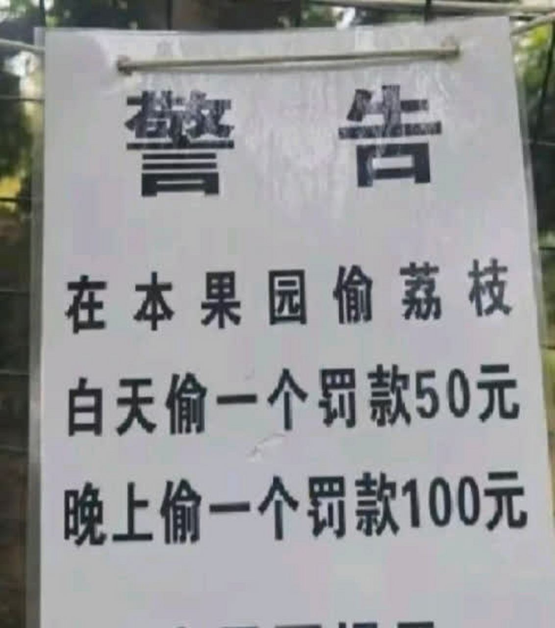 为什么白天和晚上的罚款不同?#搞笑