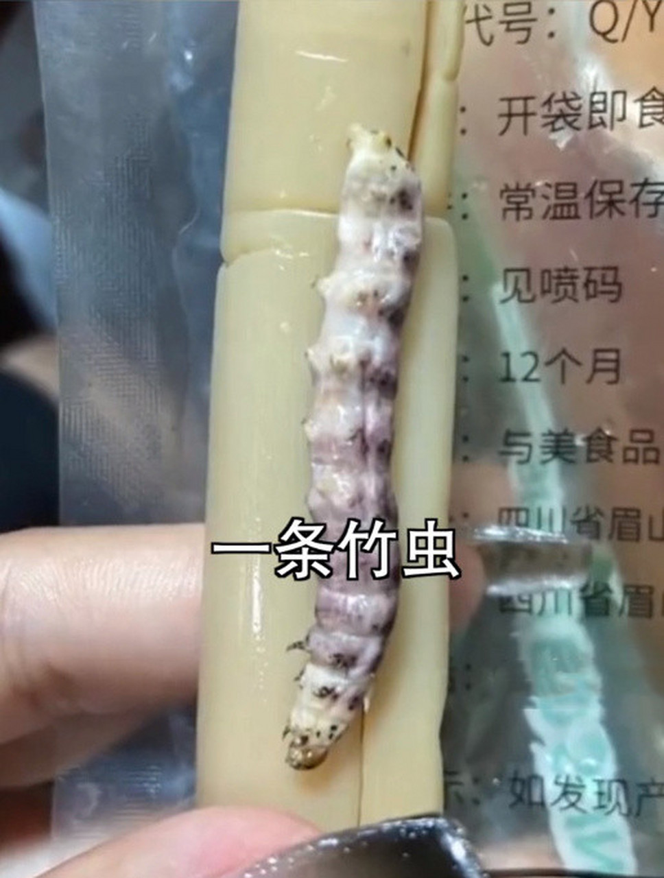 女子吃竹笋发现竹虫直呼恶心,找到商家要说法,但网友却说是良心商家!