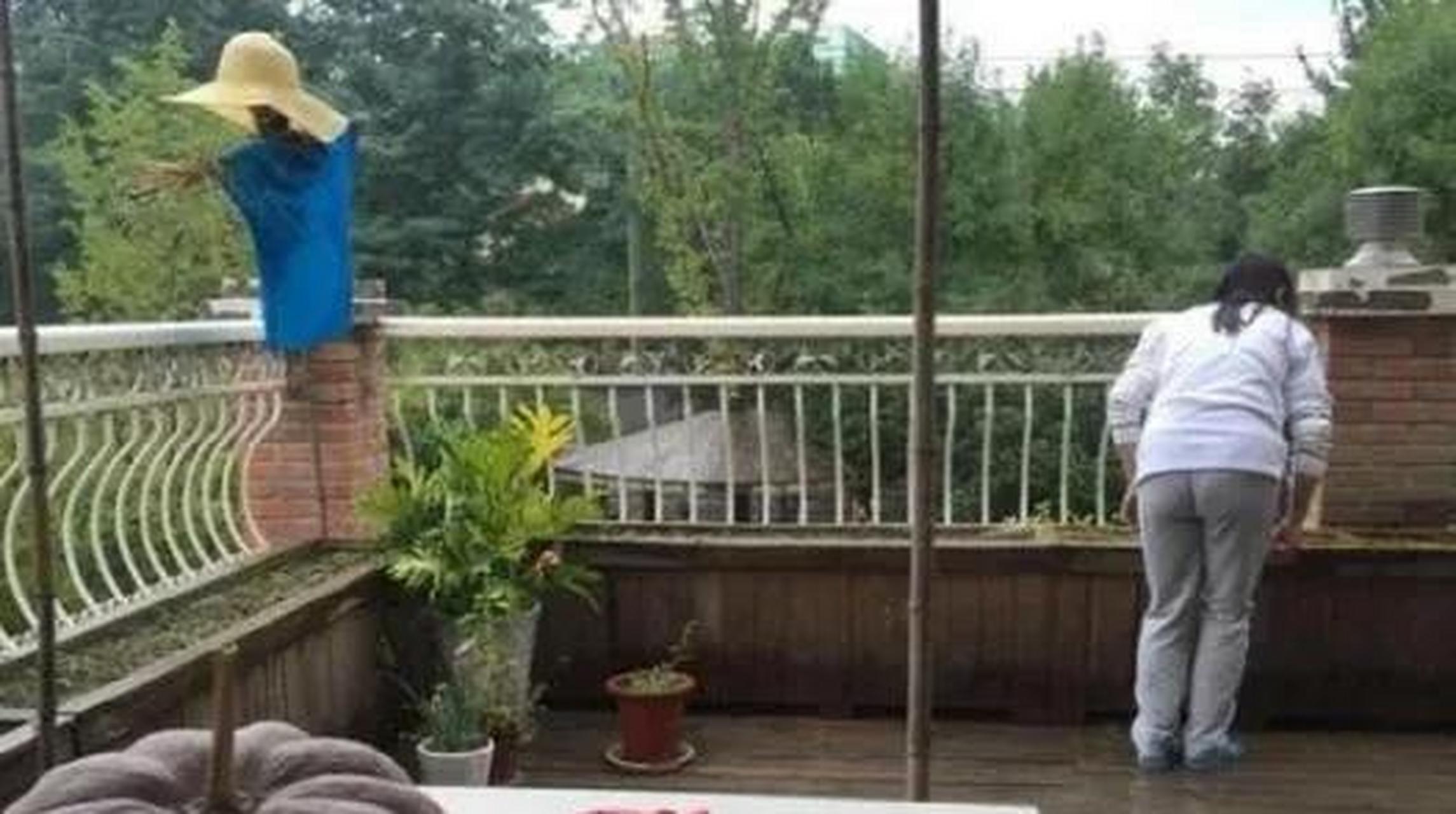 gif创作人# 周杰晒豪宅啦!