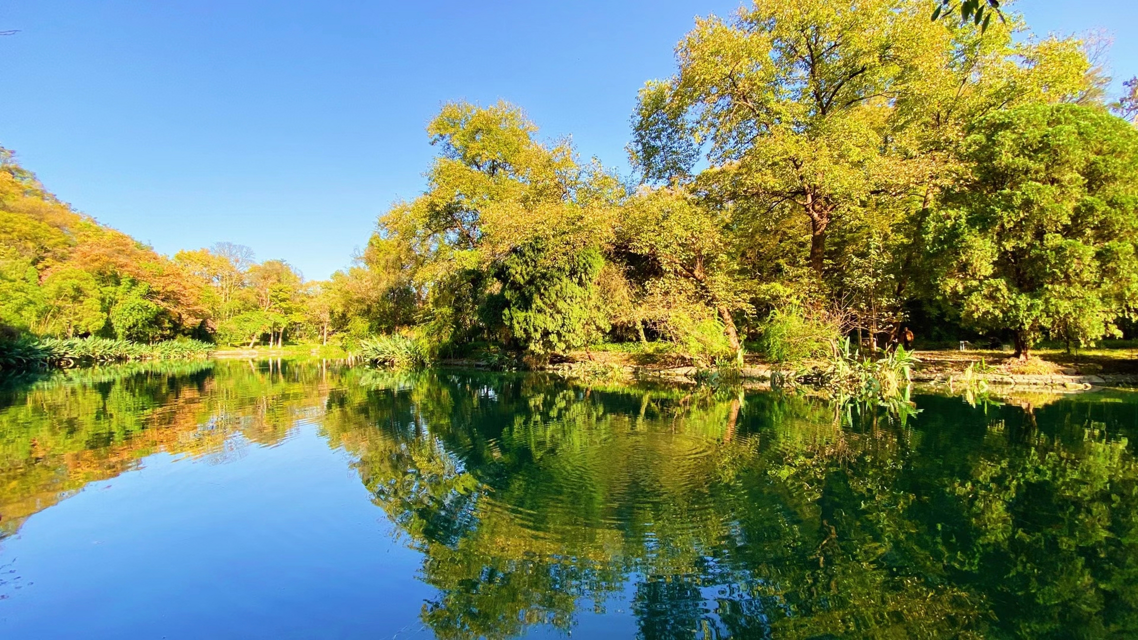 贵阳的花溪公园,真的被那里的景色所深深吸引了.