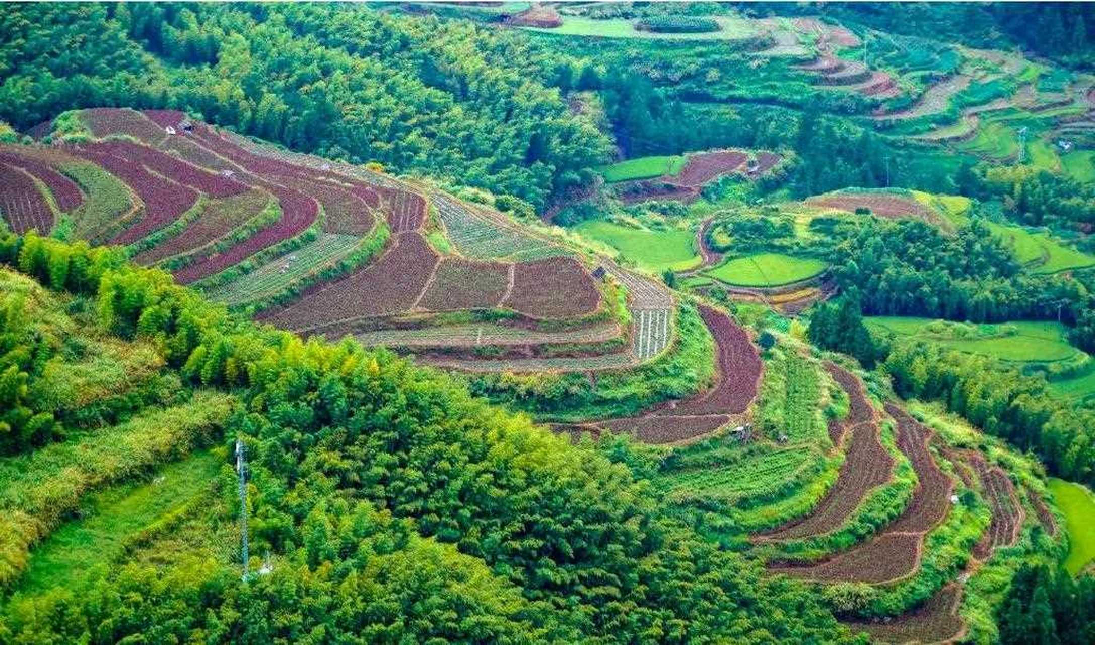 丽水南尖岩景区介绍图片