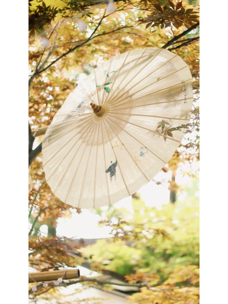 真正晴雨两用的油纸伞 老祖宗传承的智慧