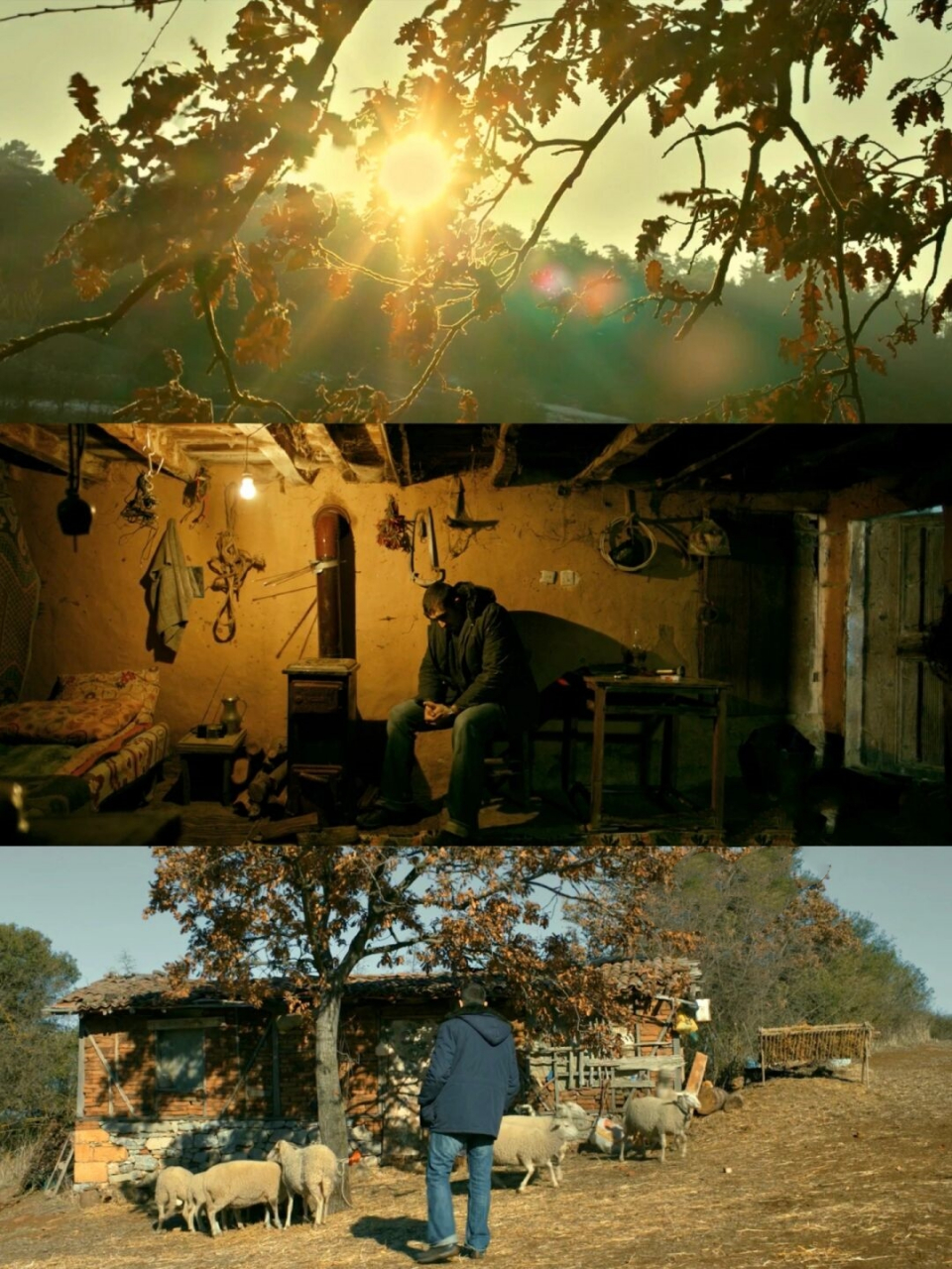 超乎你想象的精彩影片