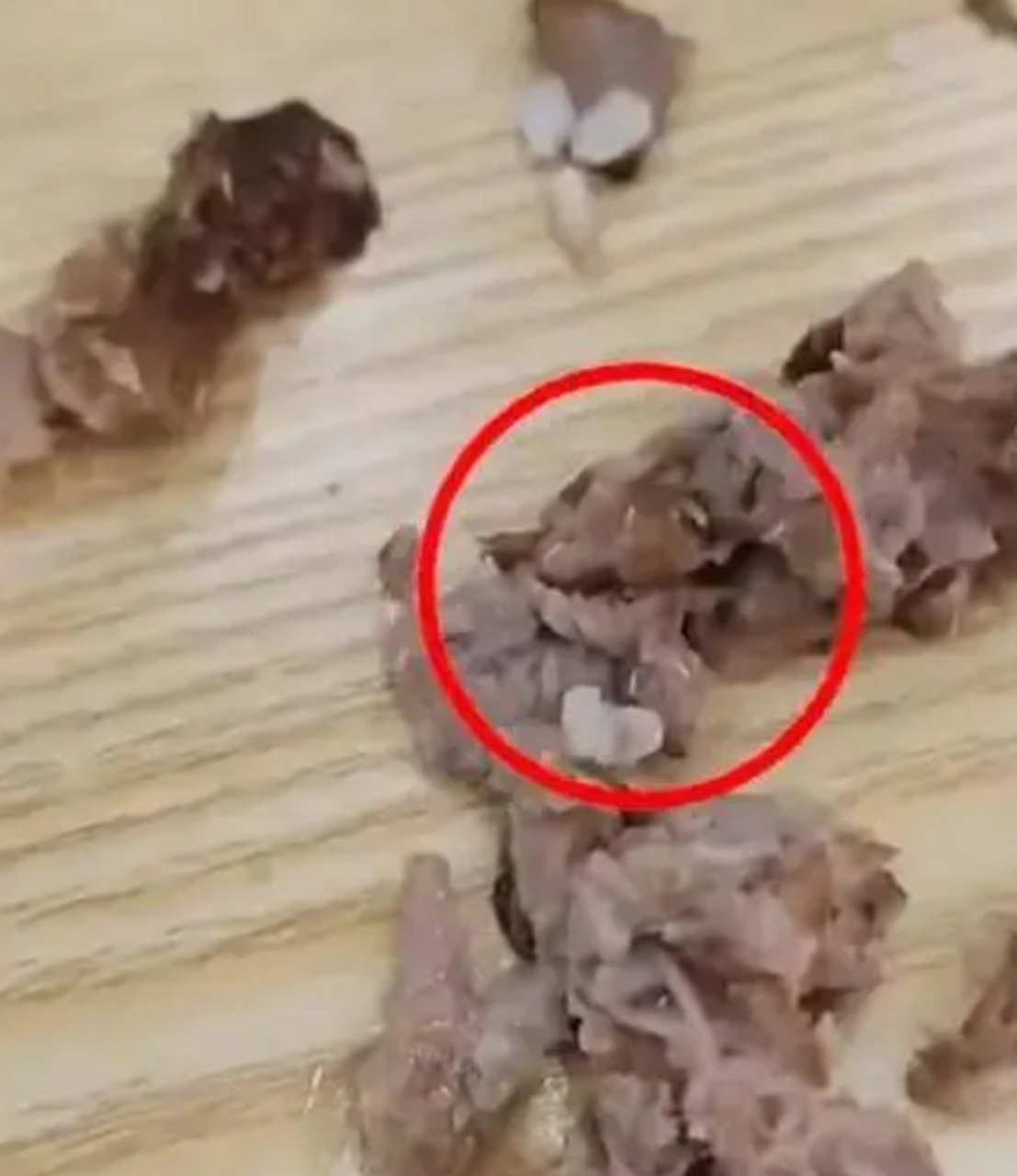 女子称吃黄焖鸡排骨发现满嘴是蛆# 近日,一位女子在社交媒体上爆料称