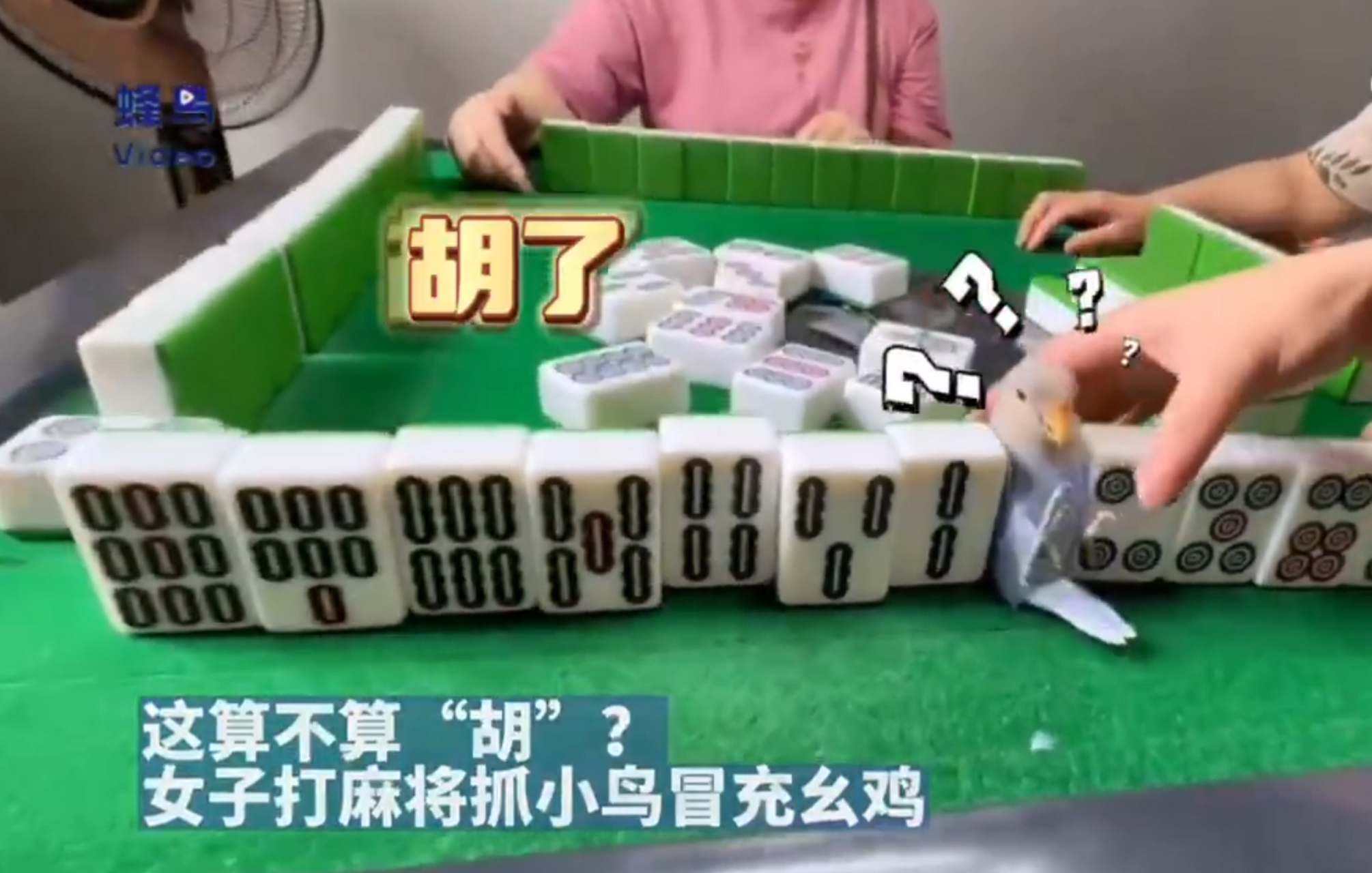 女子打麻将抓小鸟冒充幺鸡, 这算不算"胡"?#趣图搞笑# #奇闻趣事