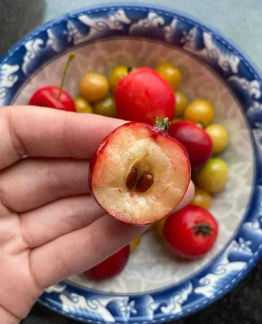 花红果 水果图片