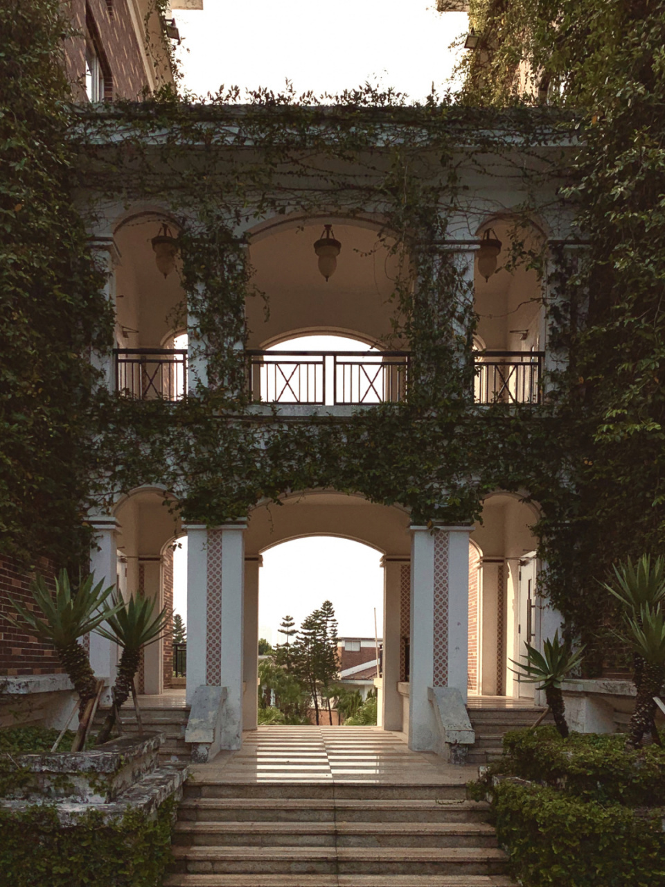 身在清远 却假装在清迈 丁香花园酒店|低调典雅的后花园 因出差有缘