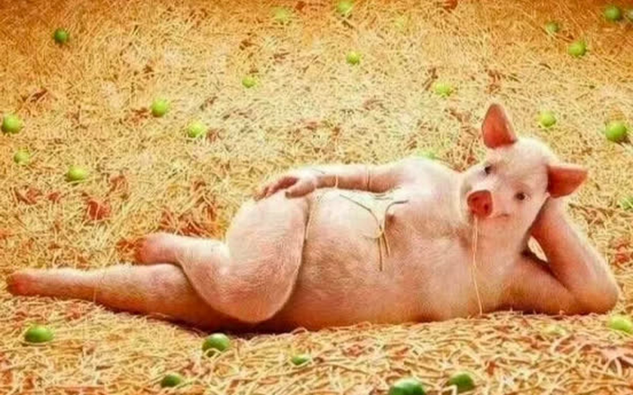 性感到流口水的小可爱. 收藏一下吧哈哈[滑稽]