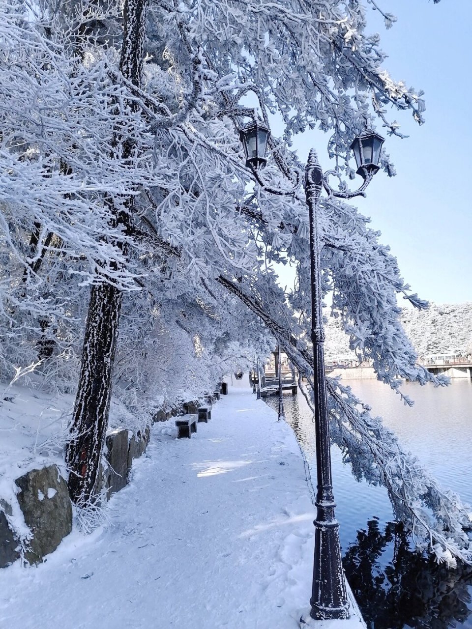 庐山冬天雪景图片